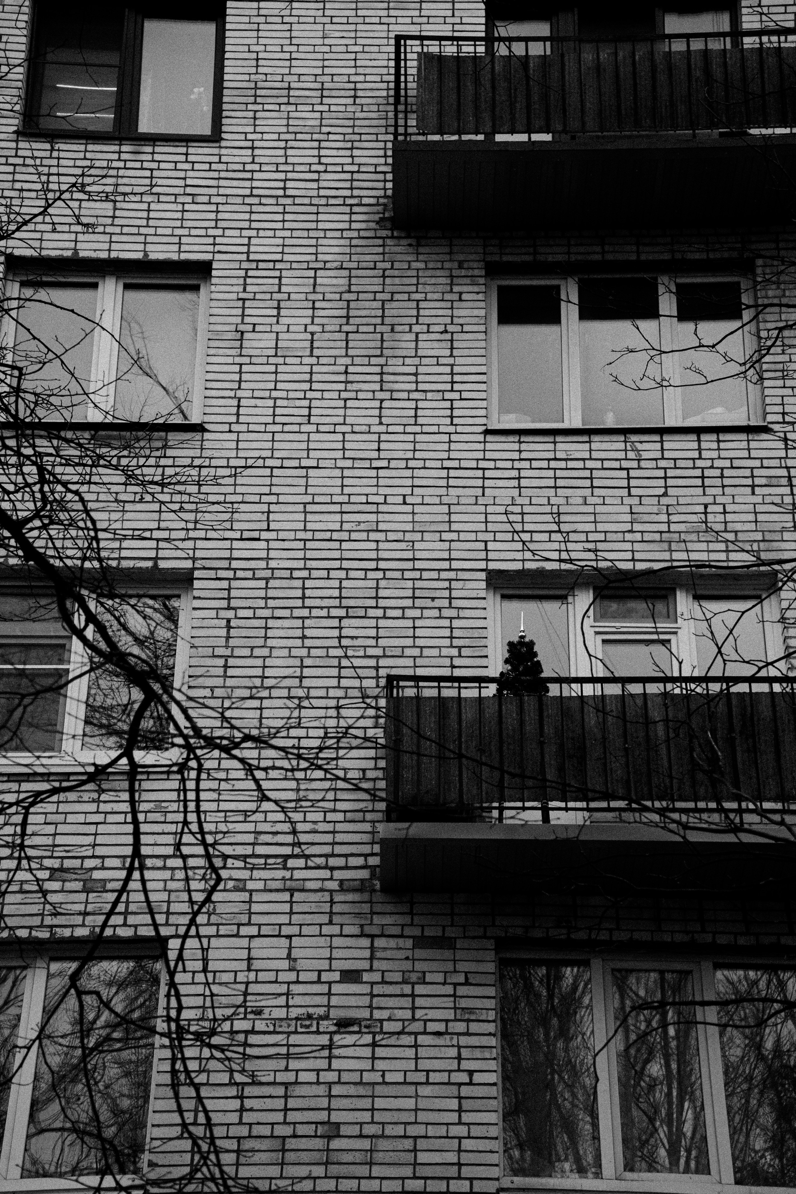 Стрит — фотография в Санкт-Петербурге. Портретный фотограф в Санкт-Петербурге Дори Милиева