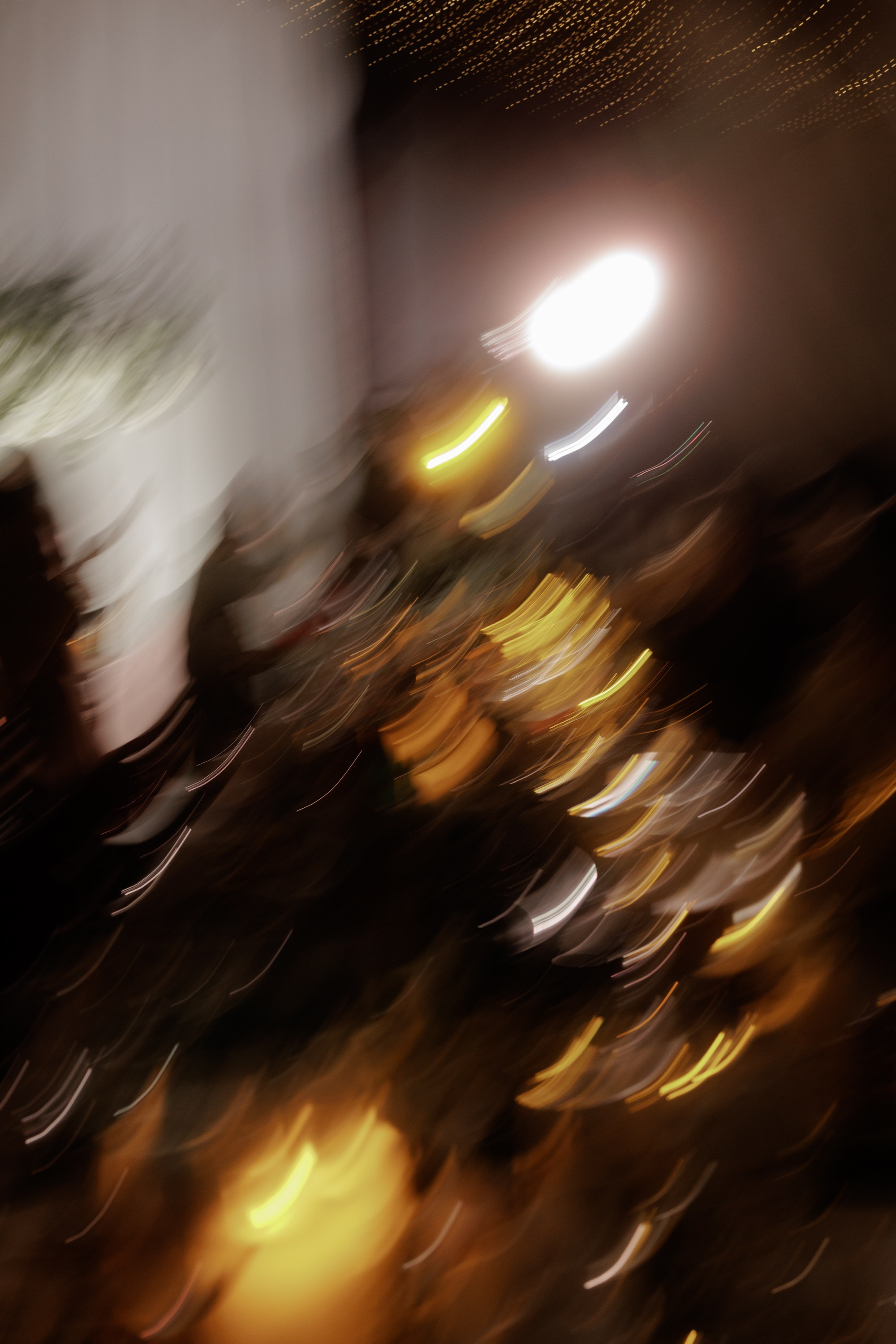 Леонид и Милена. Свадебный фотограф