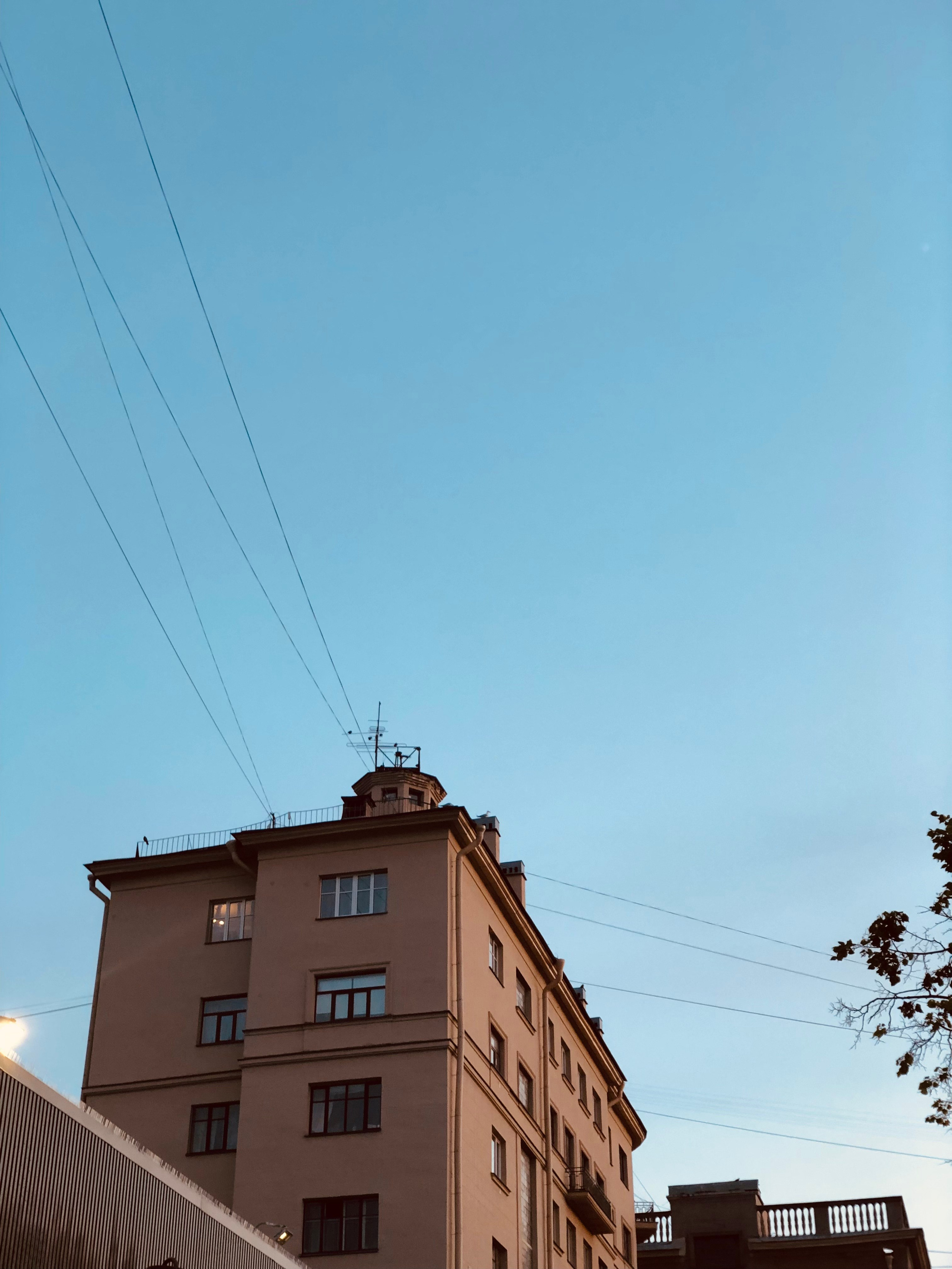 Июль. Семейный, Свадебный фотограф СПБ Питер— Романова Екатерина
