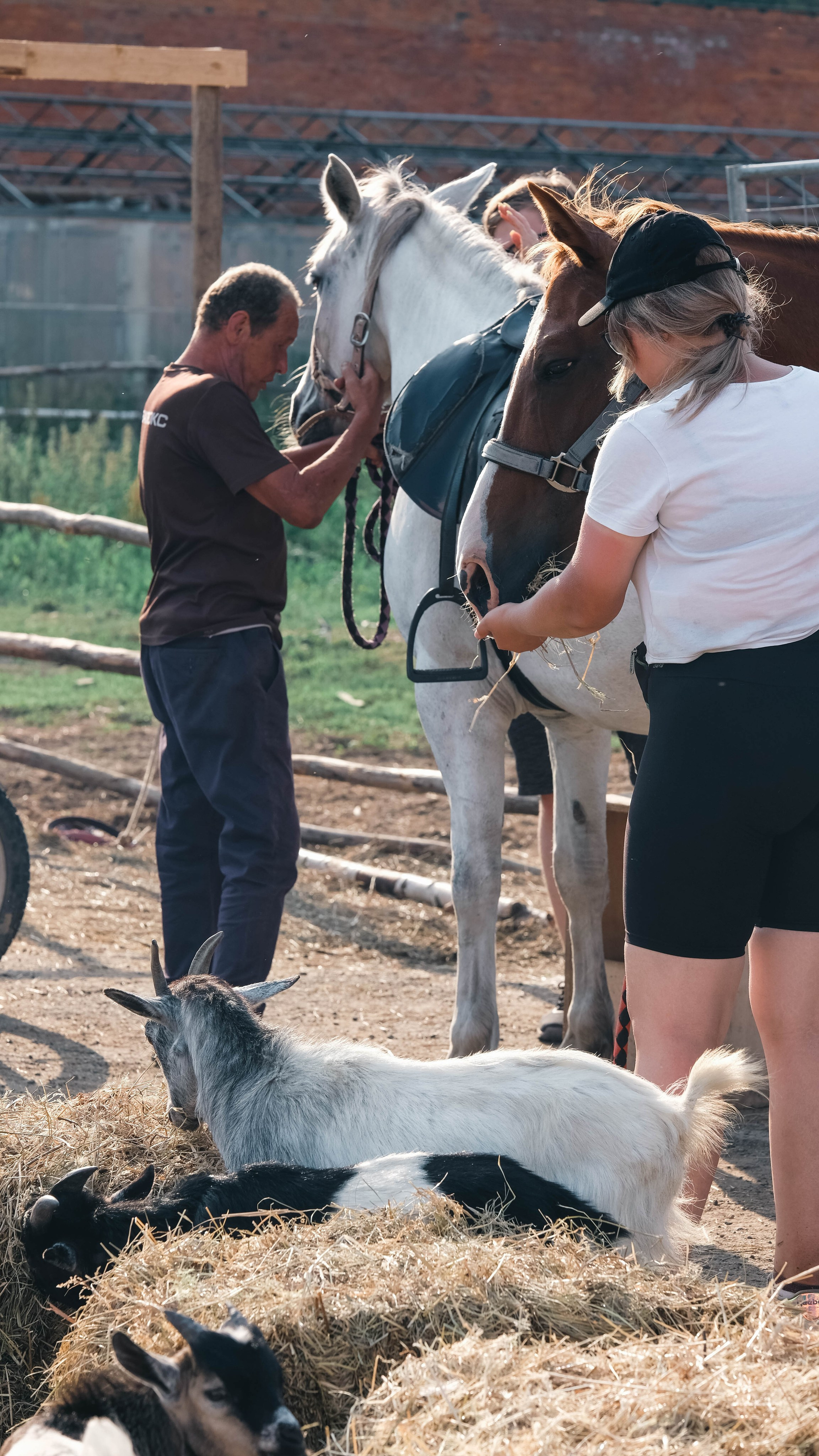 Конюшня. KRUTOVA_фотографирую жизнь
