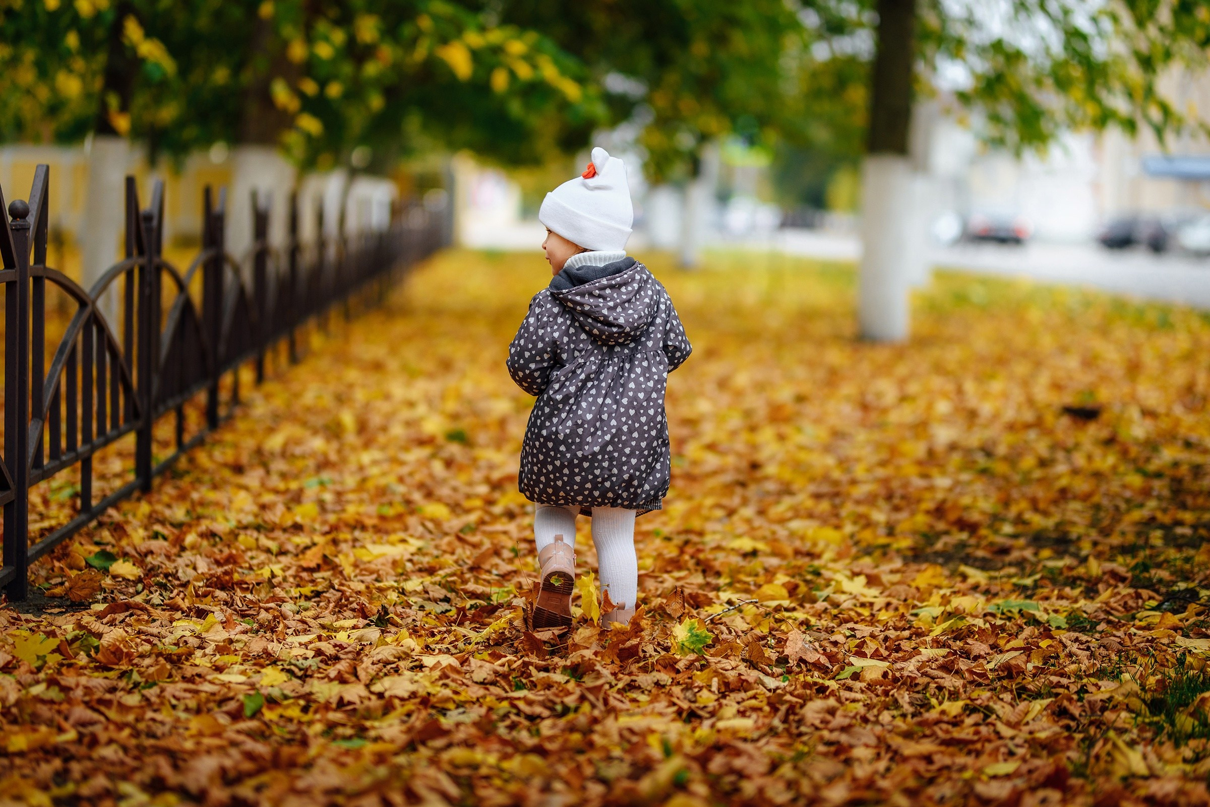 Варвара. Свадебный и семейный фотограф в Воронеже Алексей Юрин