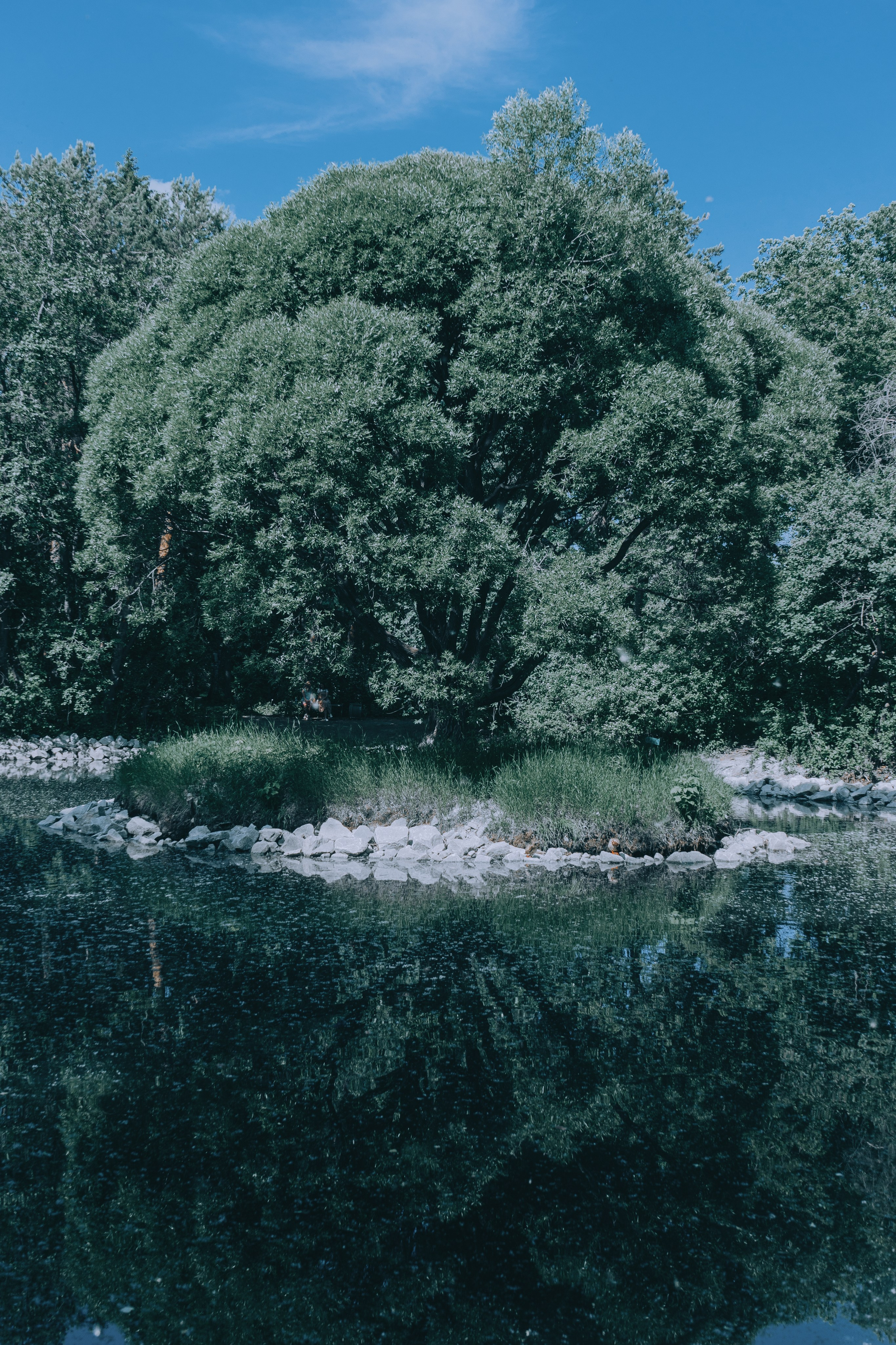 Аселя. Денис Марков — фотограф в Екатеринбурге