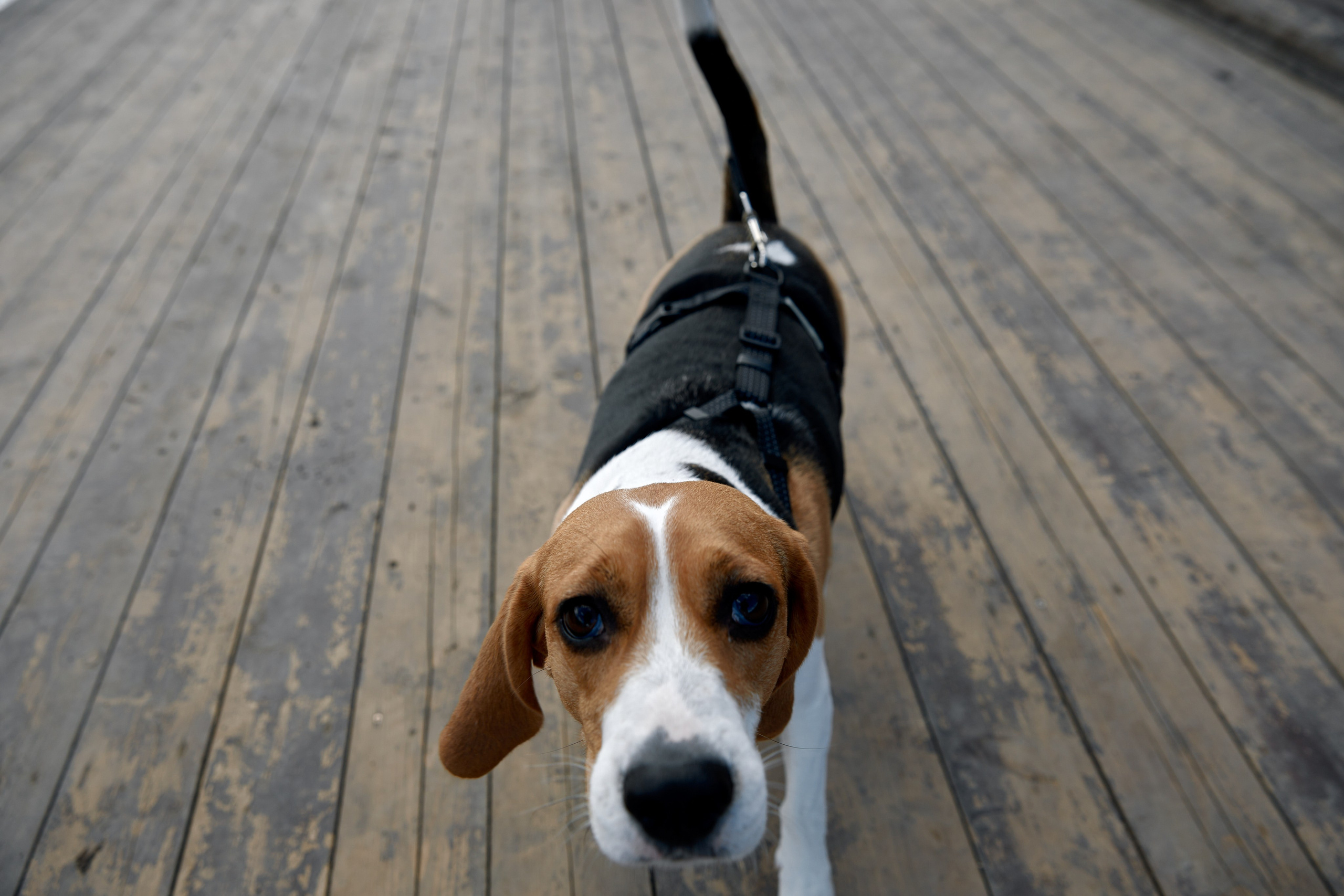 Саша и Настя. Фотограф Александр Казин