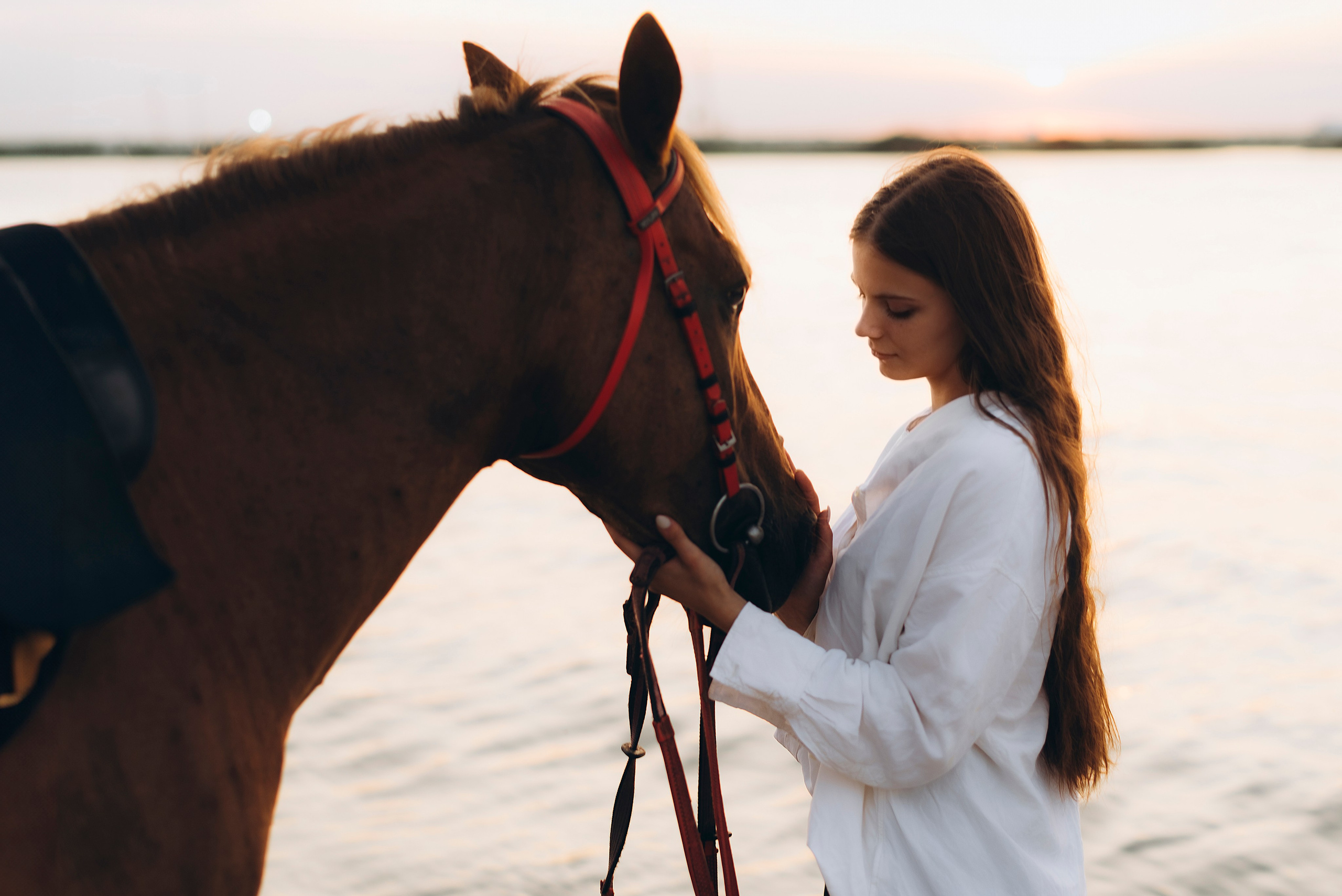Август. Свадебный фотограф Ростов-на-Дону от 4 400 руб. |Кристина Гайсенюк