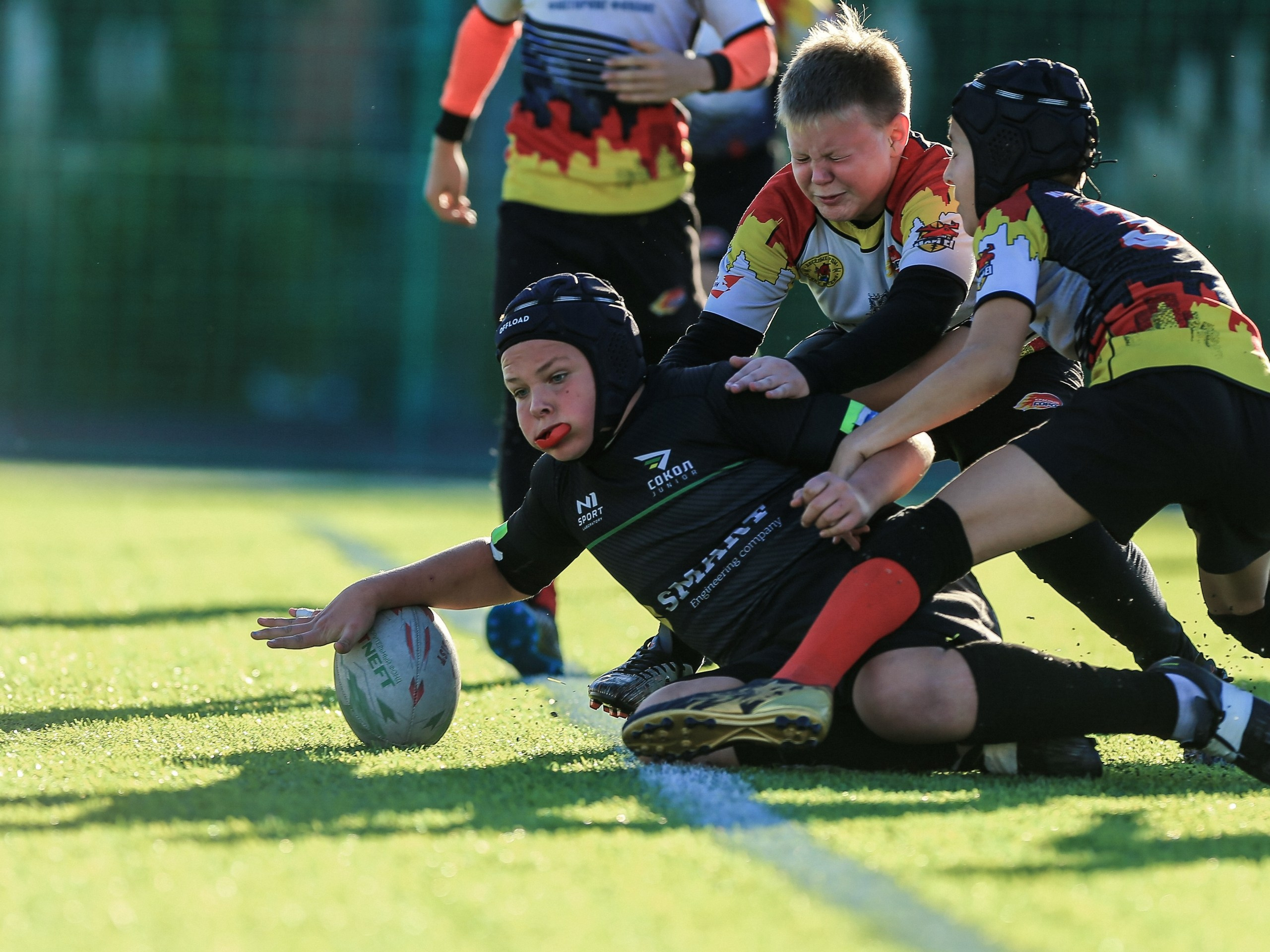 Кубок Соколова