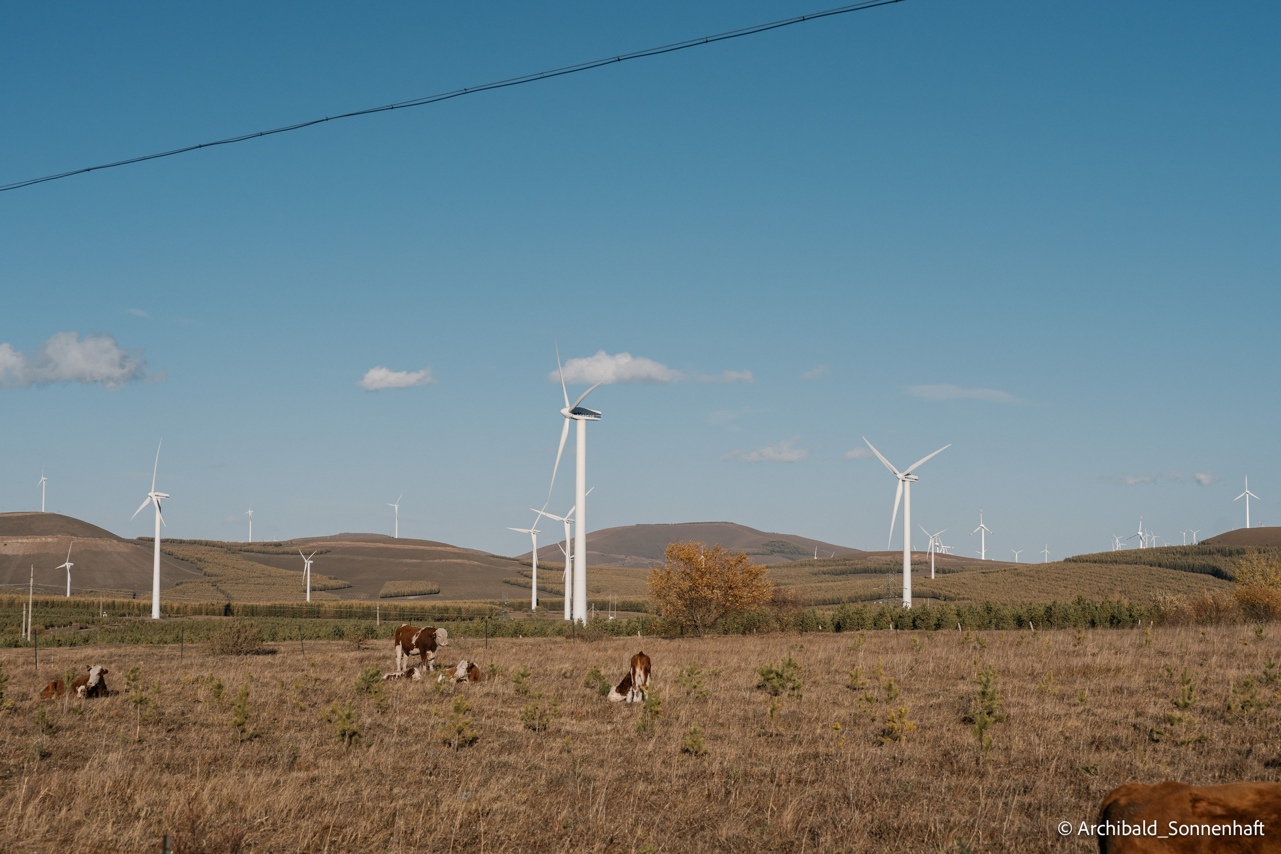 Inner mongolia. Photographer in Guangzhou, China. Archibald Sonnenhaft