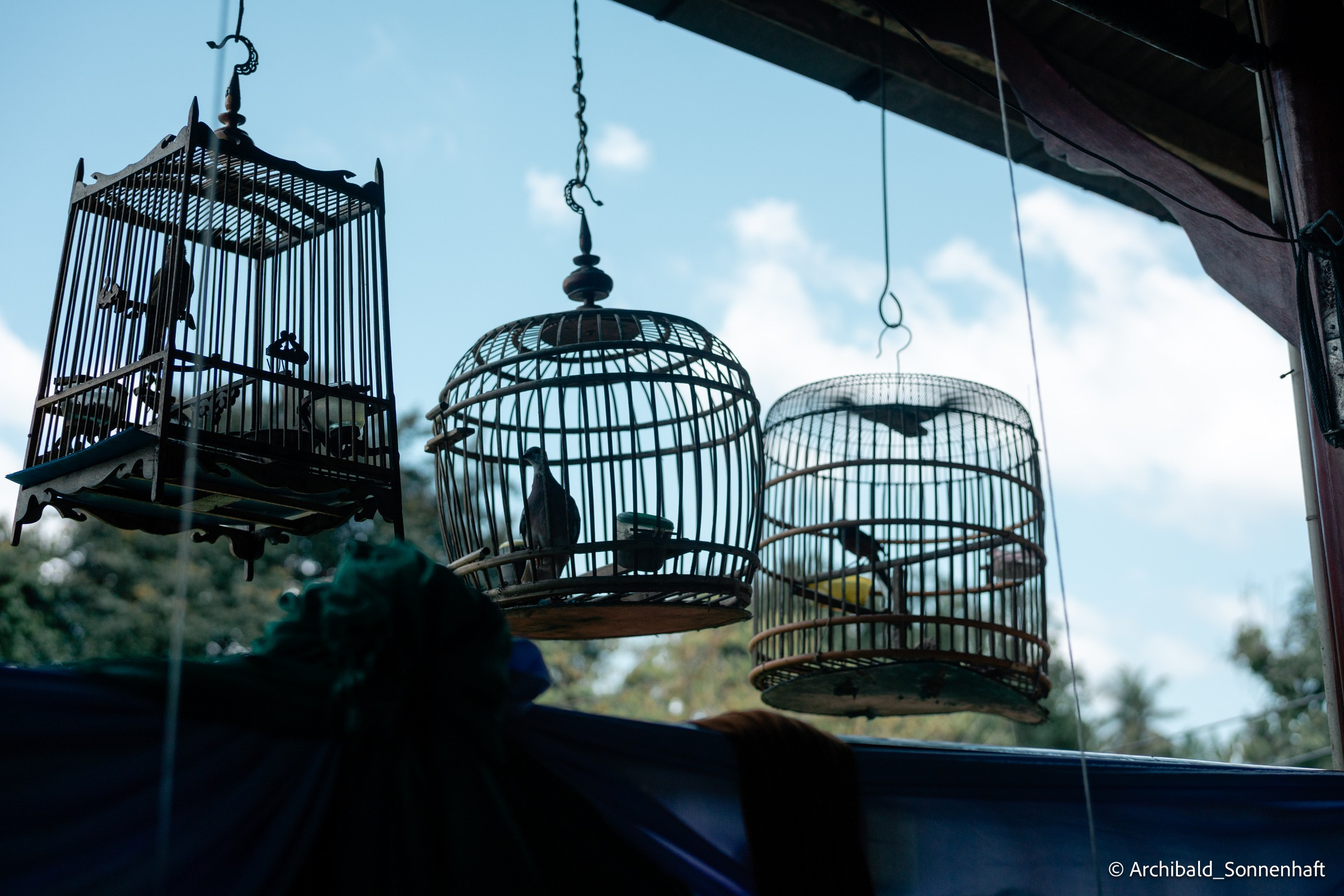 Thai monk. Photographer in Guangzhou, China. Archibald Sonnenhaft