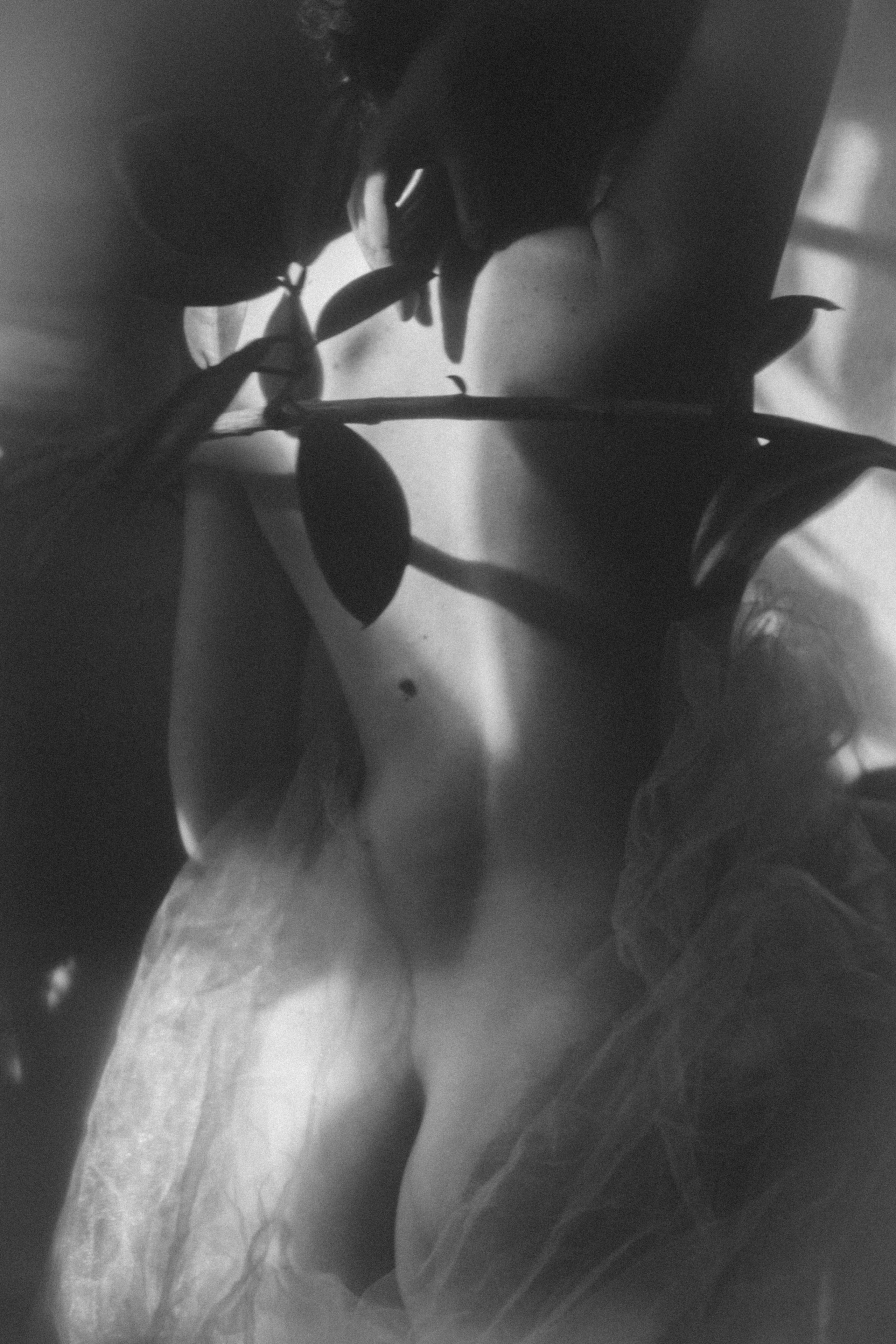 Анастасия Романова. Портретный и репортажный фотограф в Москве Кристина Никитюк kristina_koa