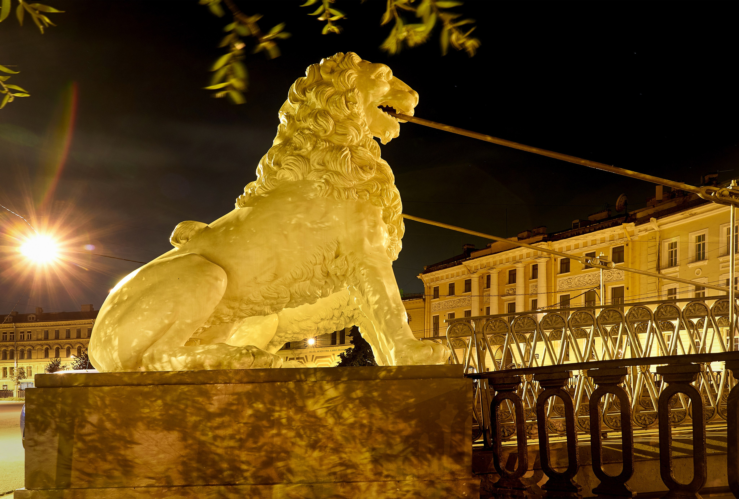 Путешествие в Санкт-Петербург. Фотограф Владимир Артамонов