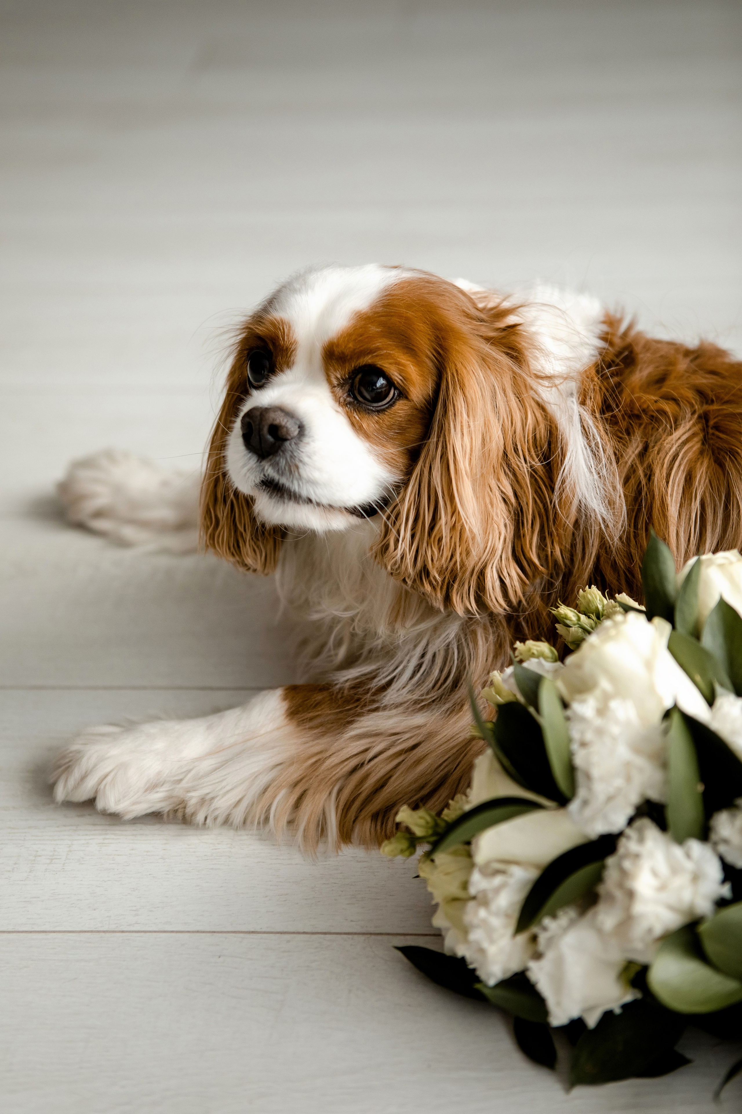 Виктор и Екатерина. Свадебный и портретный фотограф в Миассе Филиппенко Дарья
