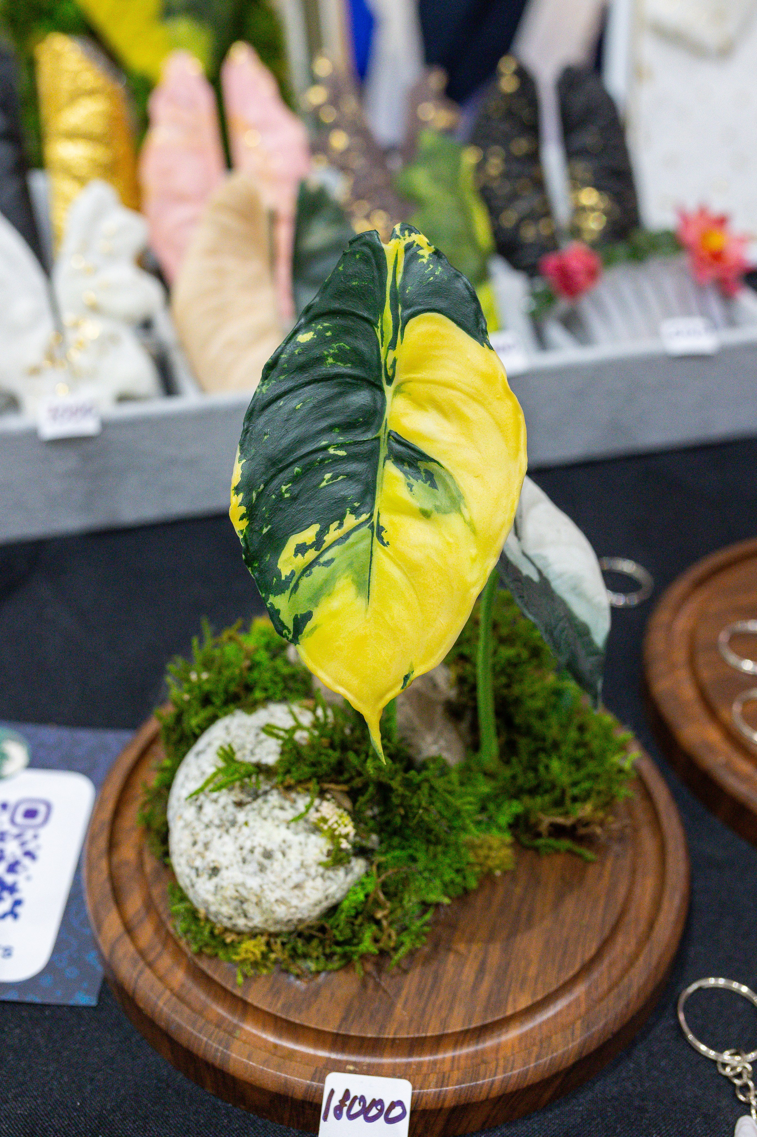 Монстериум 11–12 октября. Александра Куликова фотограф, Москва