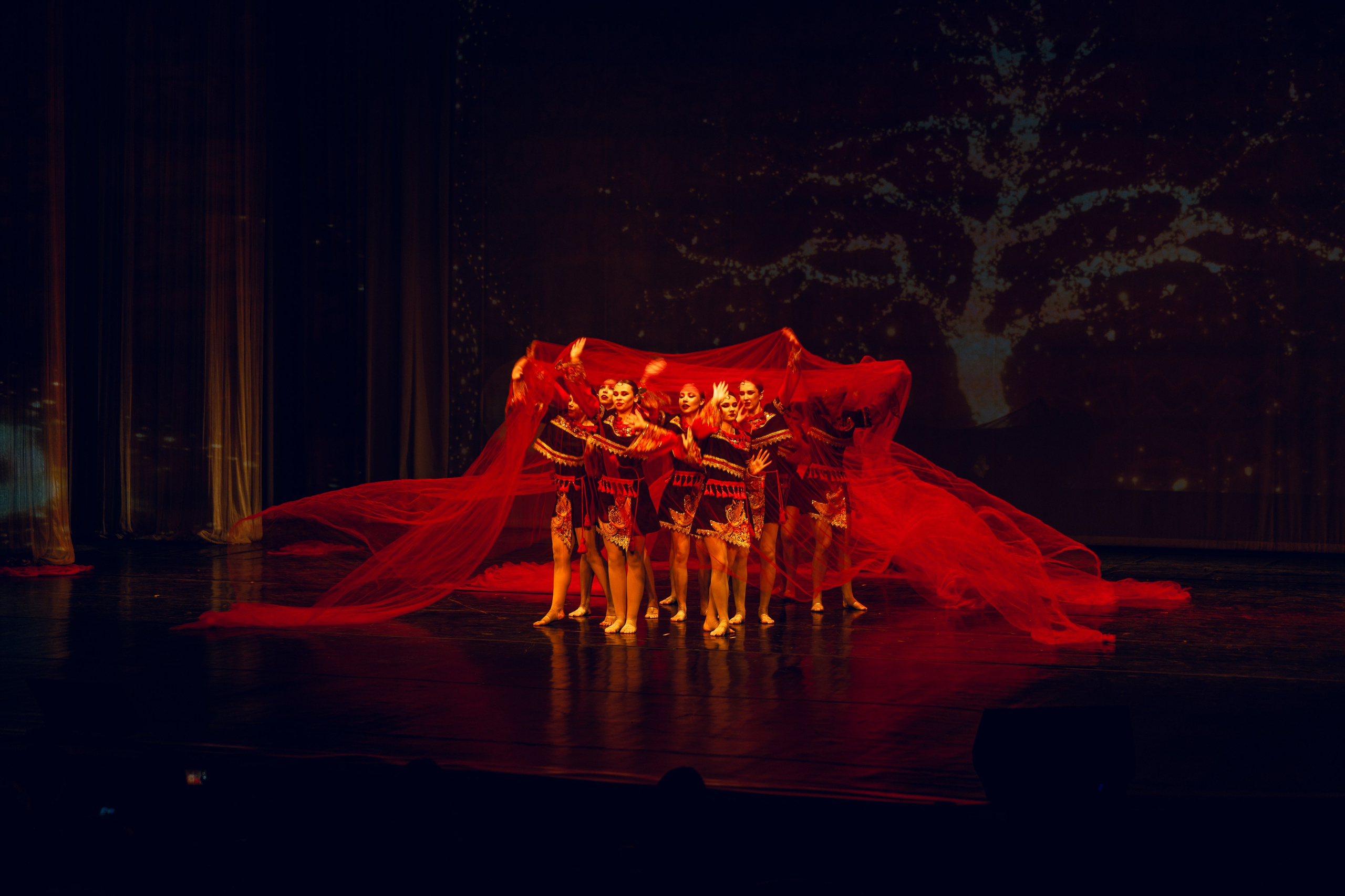 Гала-концерт «Путь к мечте». Tatyana Dubova. Portrait and Family Photographer, Saint Petersburg