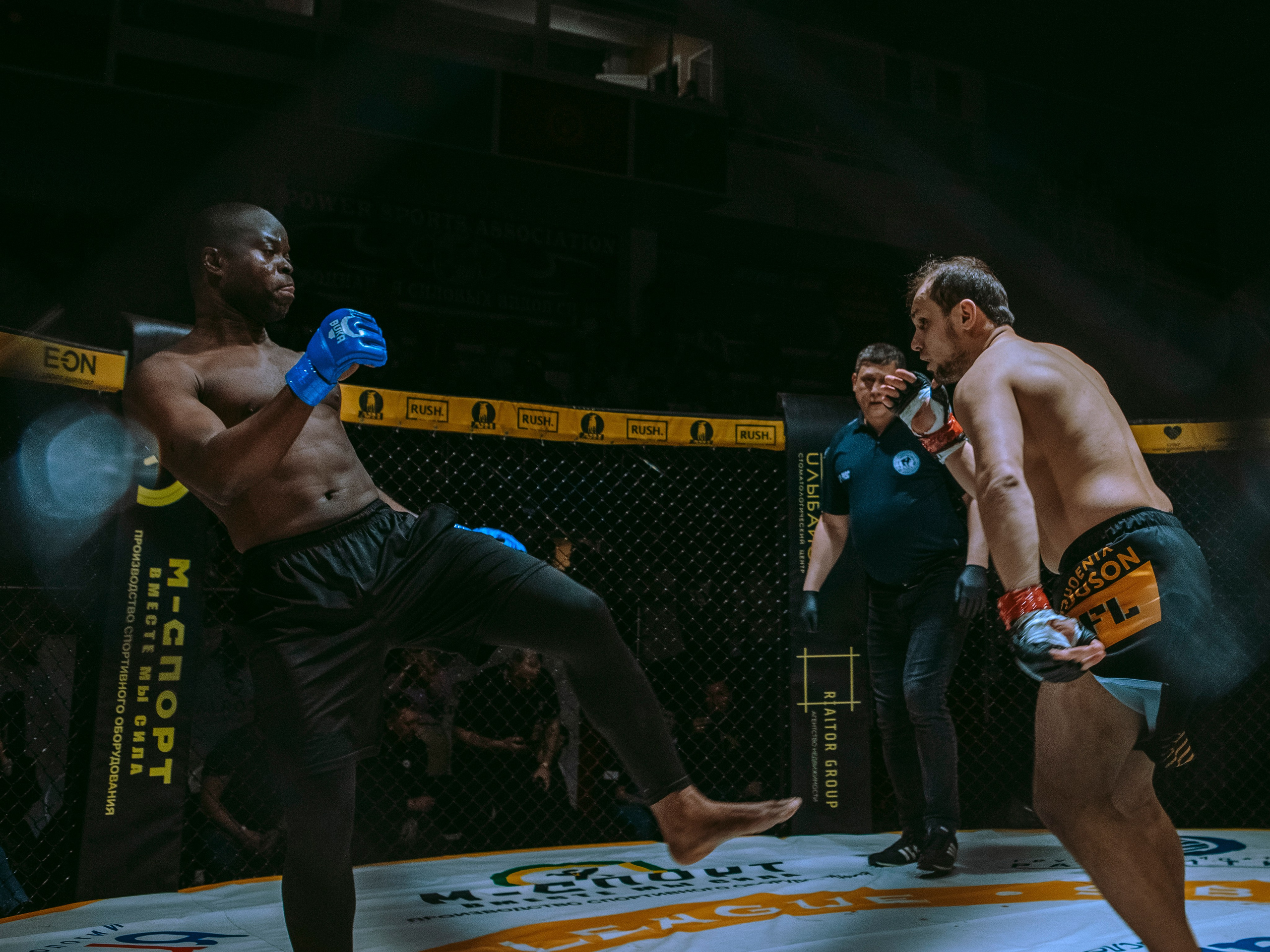 SFL 17 | Siberian Fighting League. Портретный фотограф в Москве Дарья Цезария