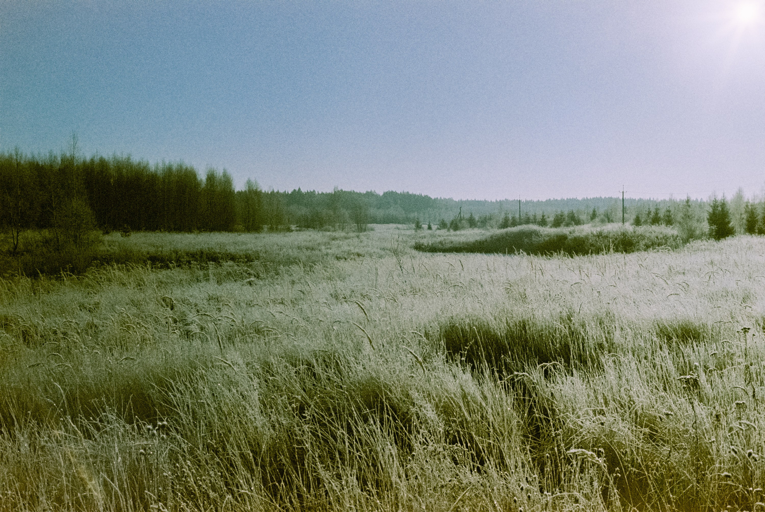 Minolta Hi-Matic 7sII / Kodak Color 200 (просрочка) / Лукино