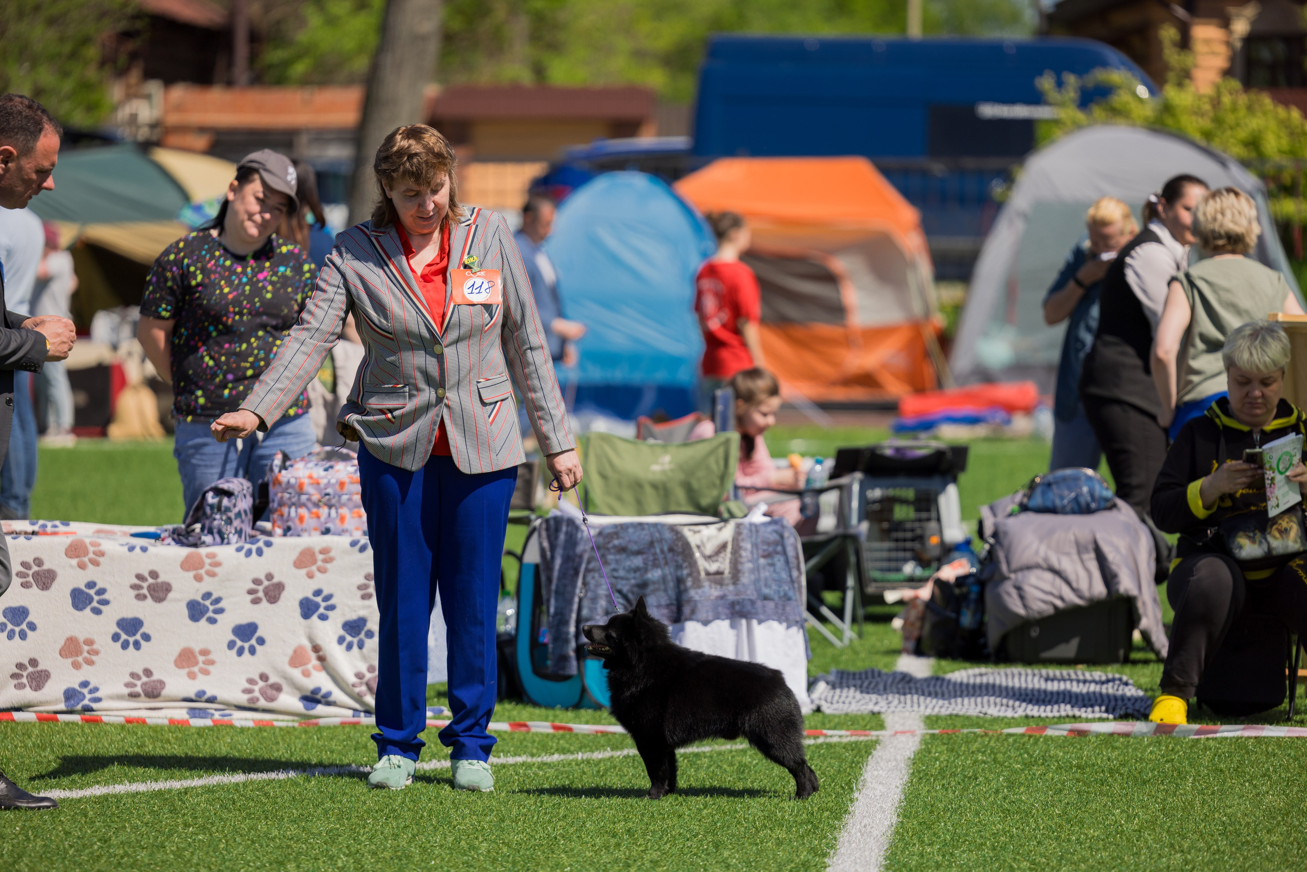 Суздаль 18-19.05.2024. Фотограф-анималист Юлия Германика