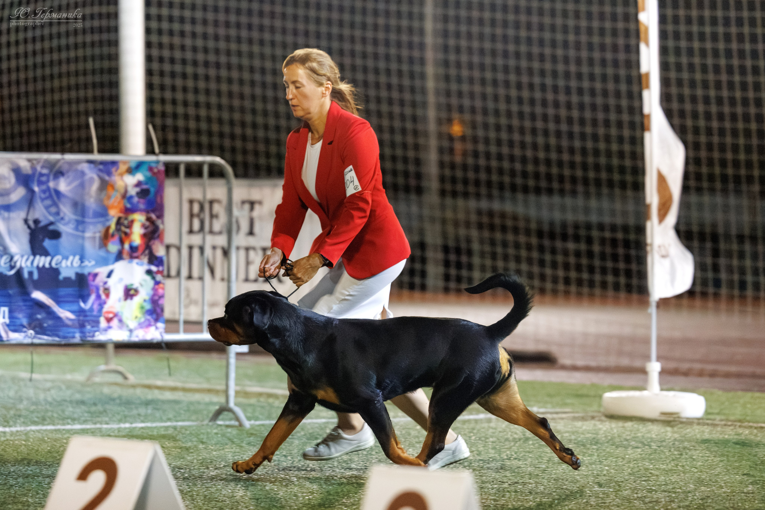 Калининград 25-27.07 Волгоград 1-3.08 2025. Фотограф-анималист Юлия Германика