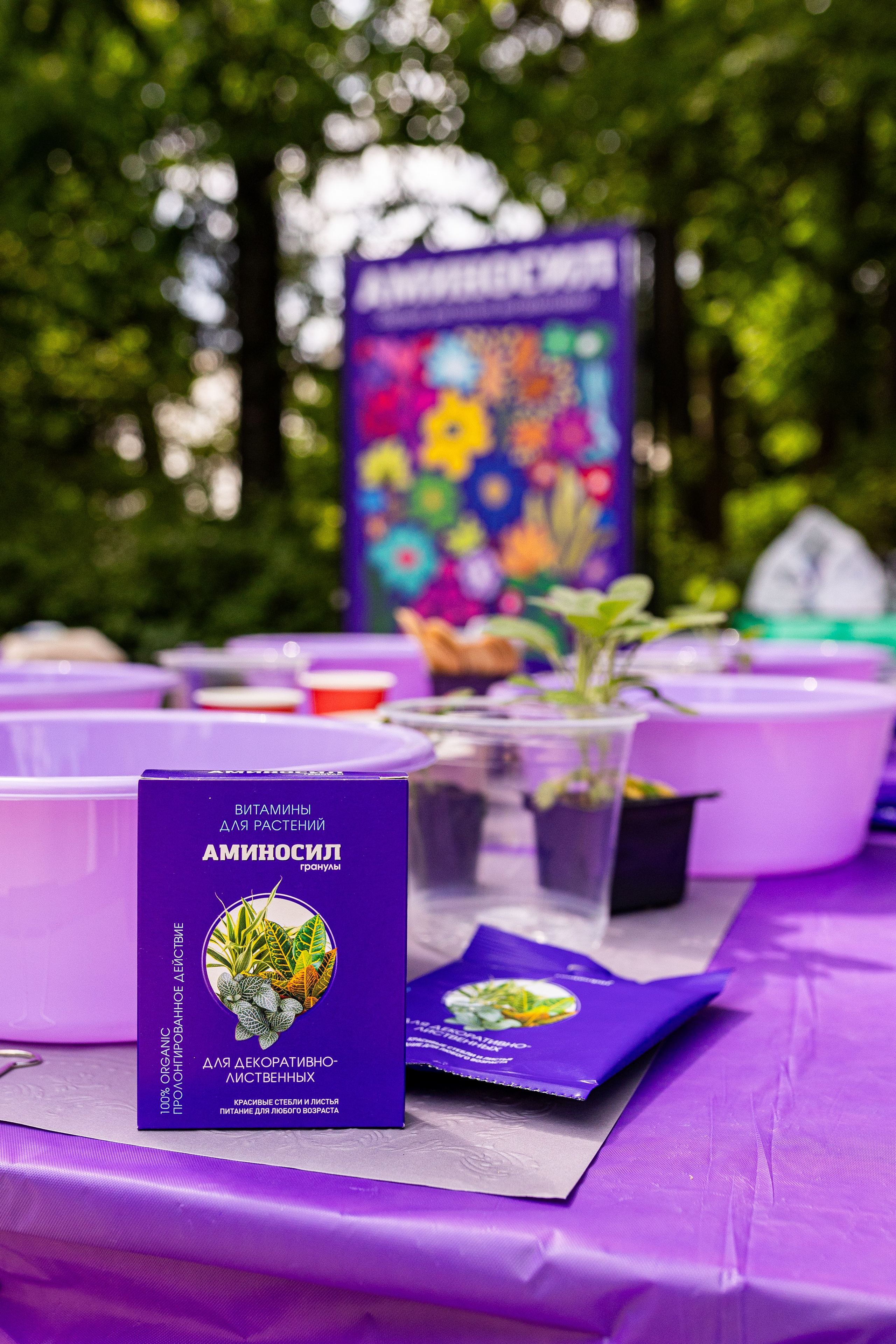 Мастер-класс от Аминосил. Александра Куликова фотограф, Москва