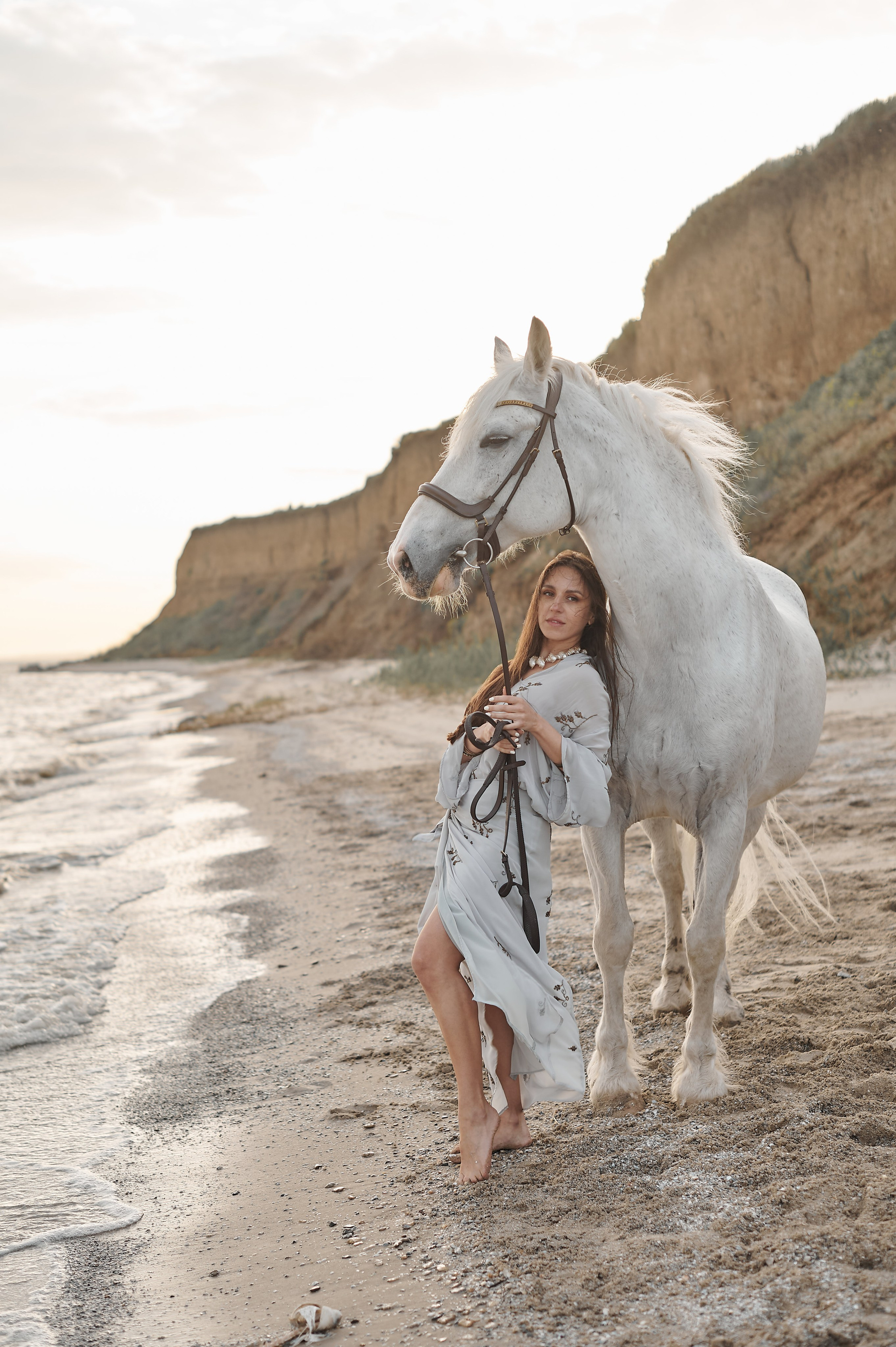 Цирковой конь Гефазт. Катерина Дрюкова фотограф/видеограф