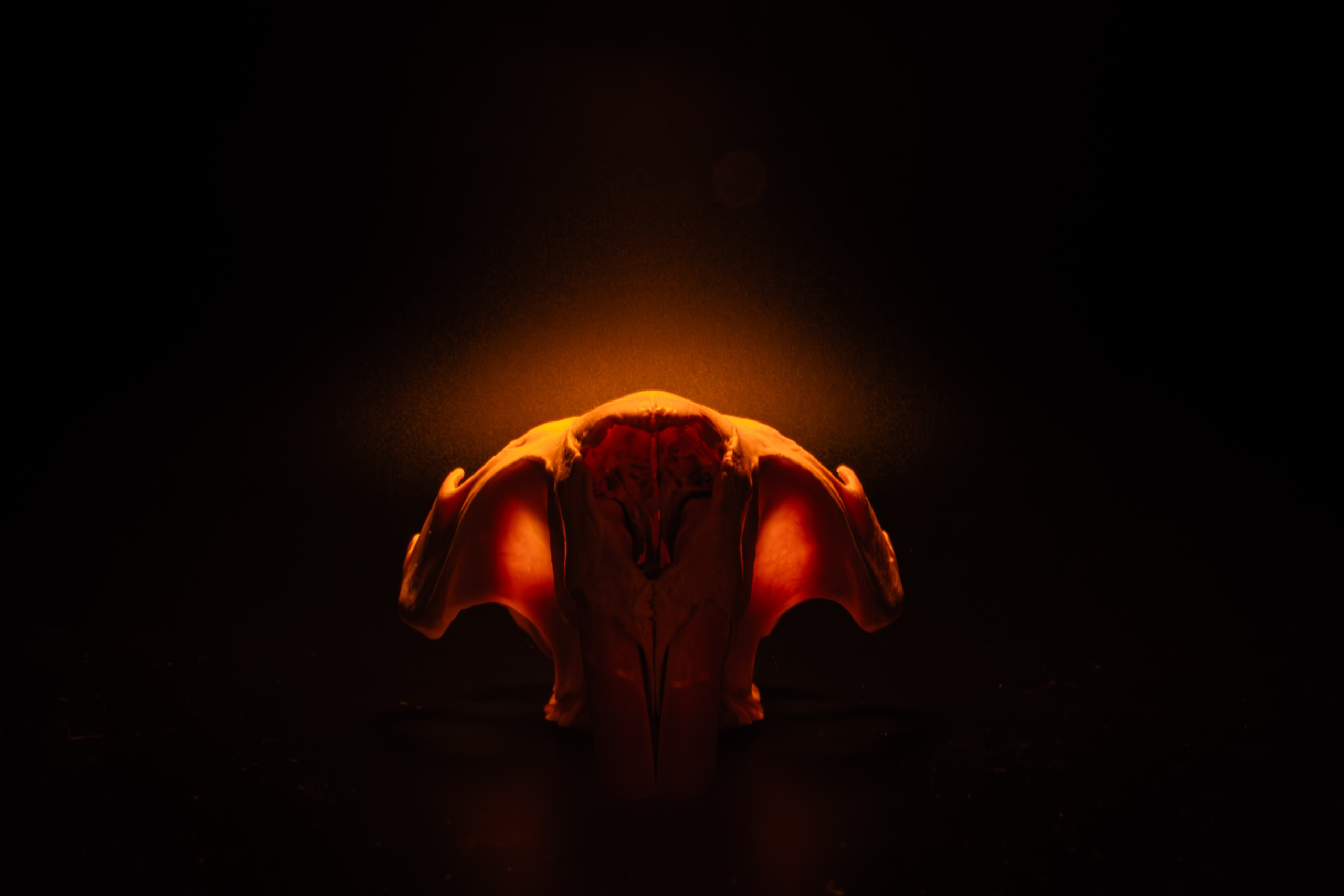 ПРЕДМЕТНАЯ СЪЁМКА. Фотограф в Москве — Олег Штыканов