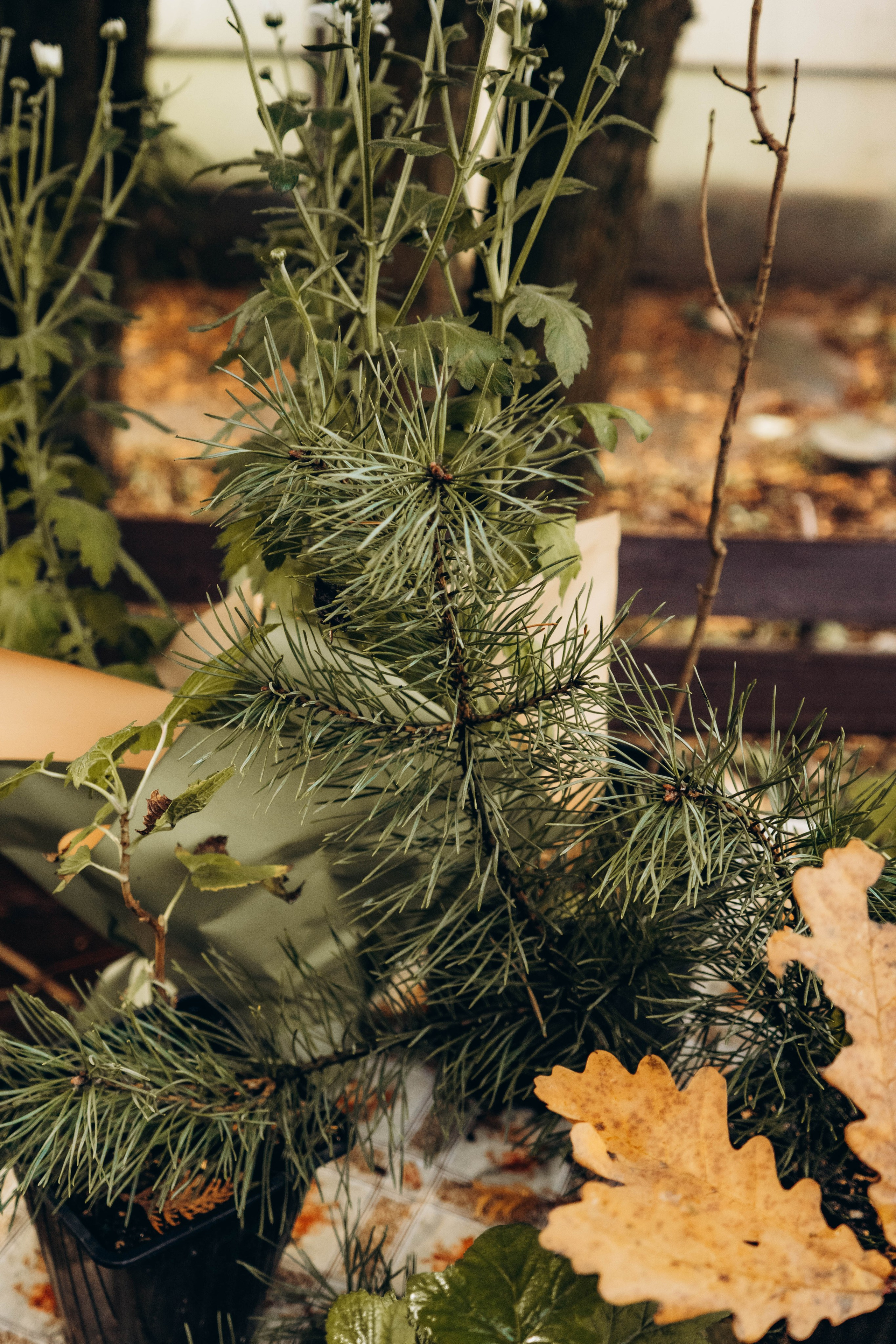 Съемка студии «Аж уютно». Фотограф Москва Валерия Веденина