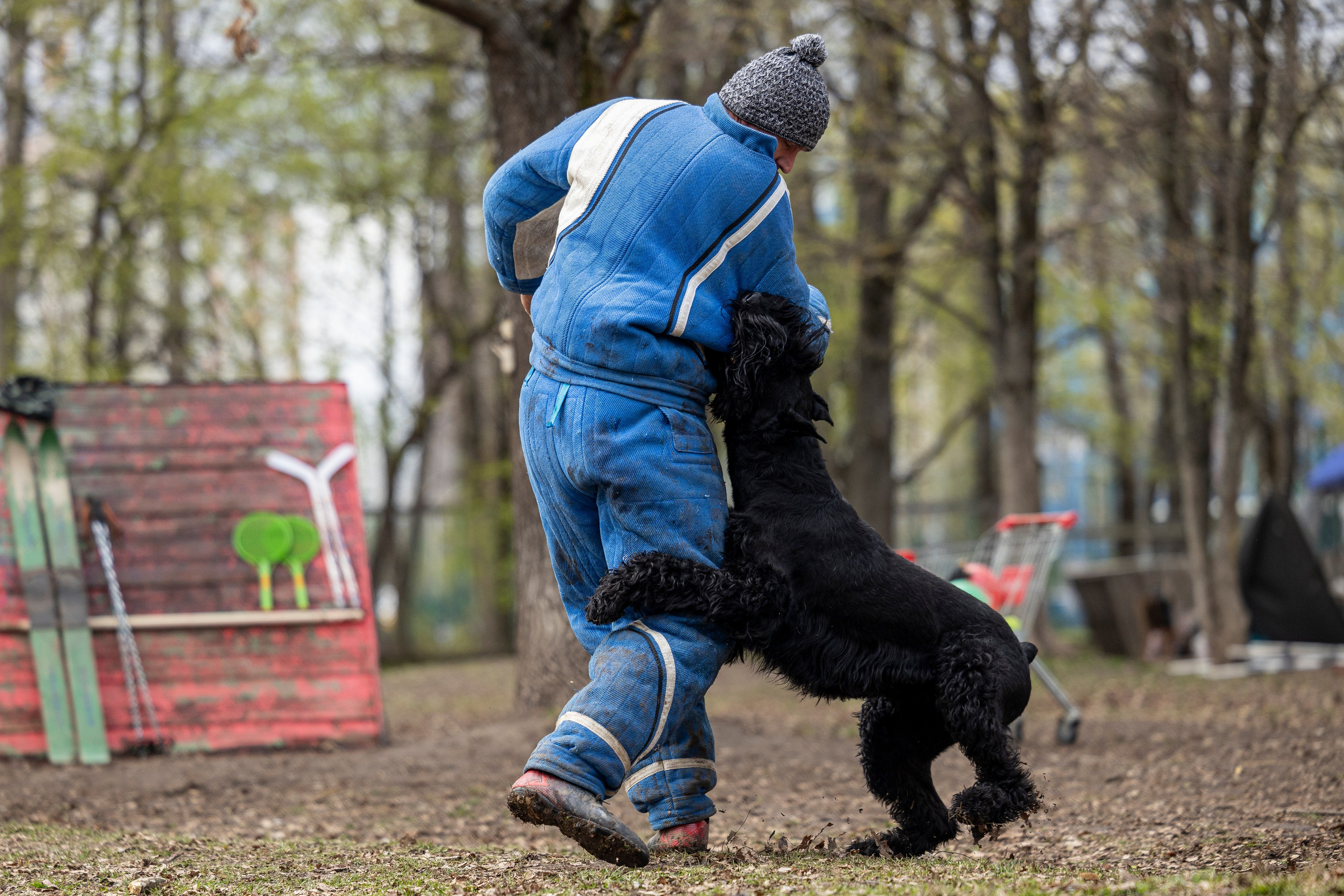Квалификационные состязания по мондьорингу г. Вологда 11.05.24. Фотограф-анималист Анна Маринич