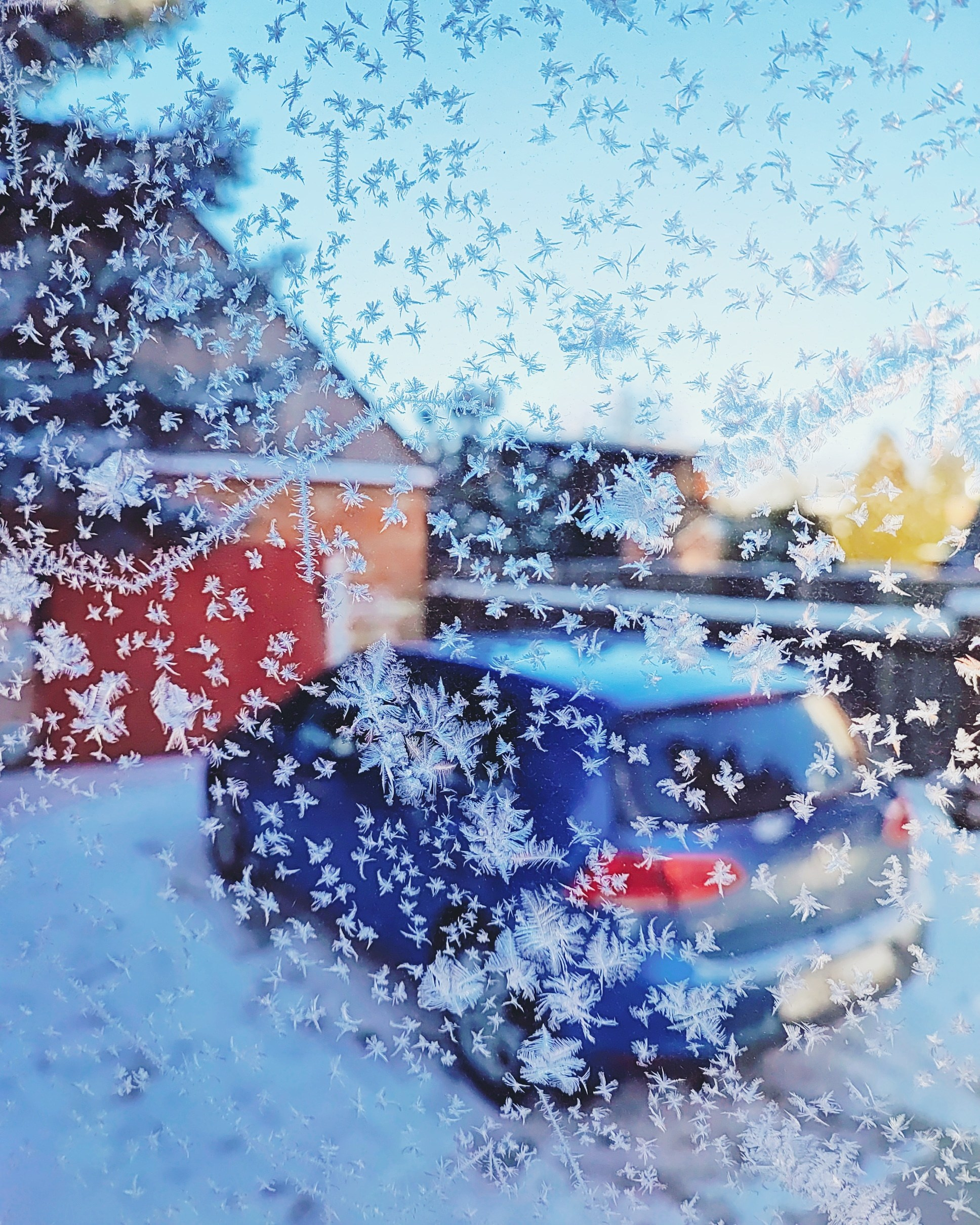 Намобилкус тульский. Репортажный фотограф Алексей Пирязев