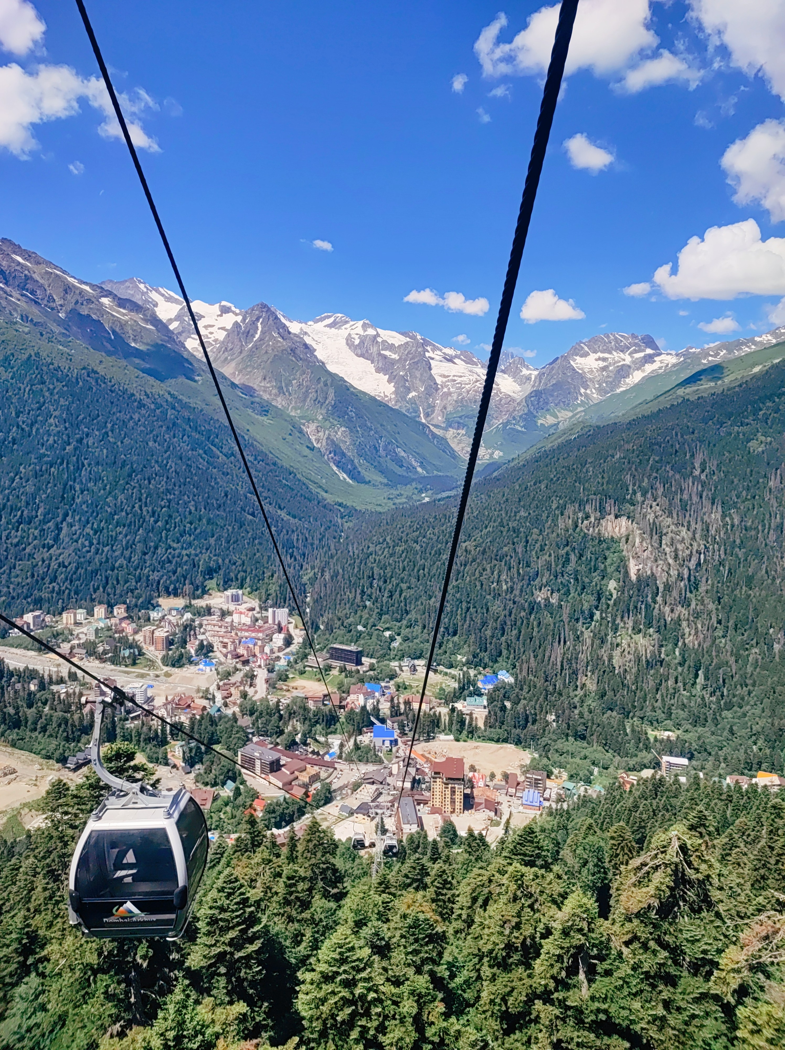 Намобилкус кавказский. Репортажный фотограф Алексей Пирязев