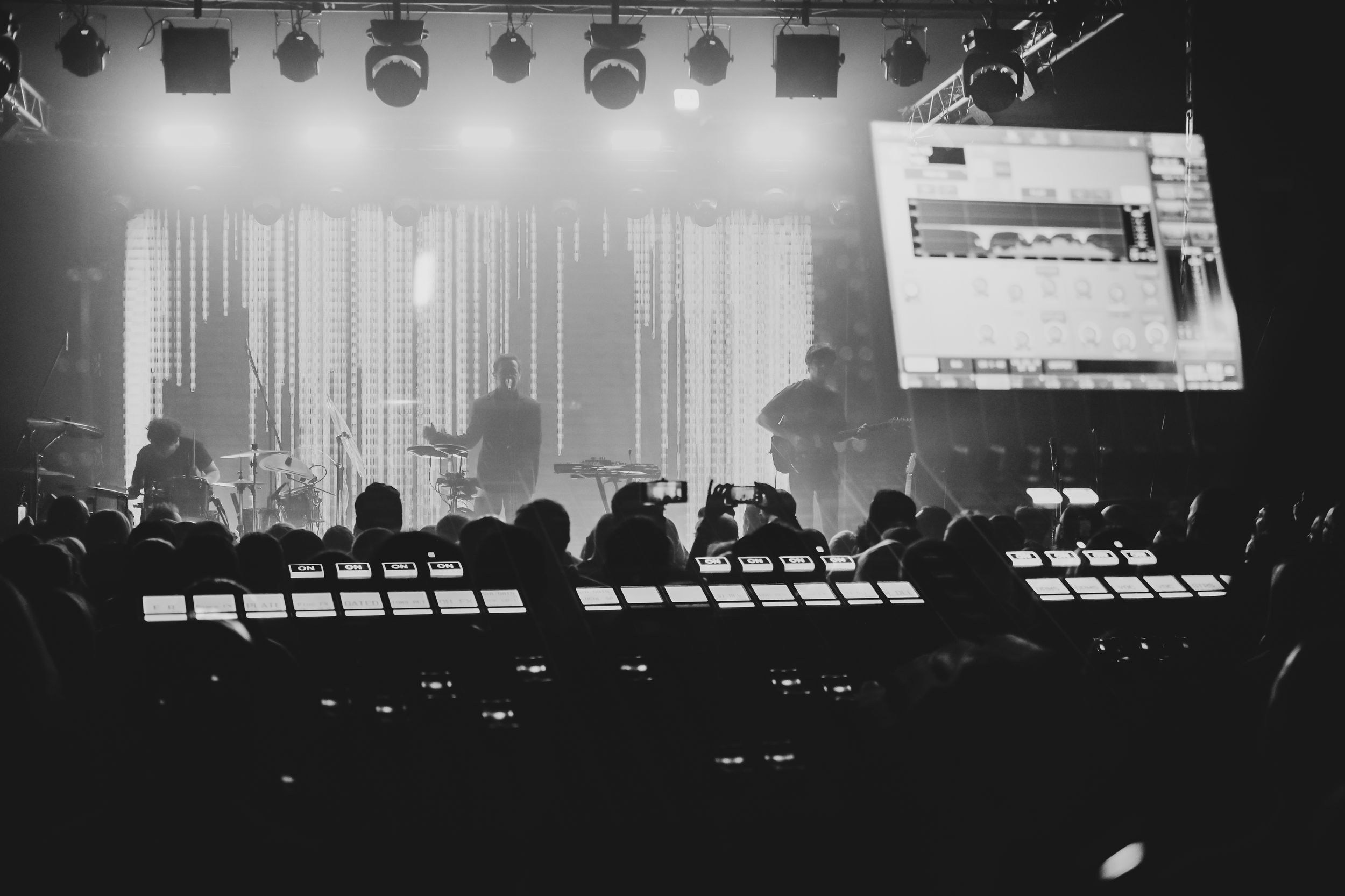 Дельфин. Репортажный фотограф Алексей Пирязев