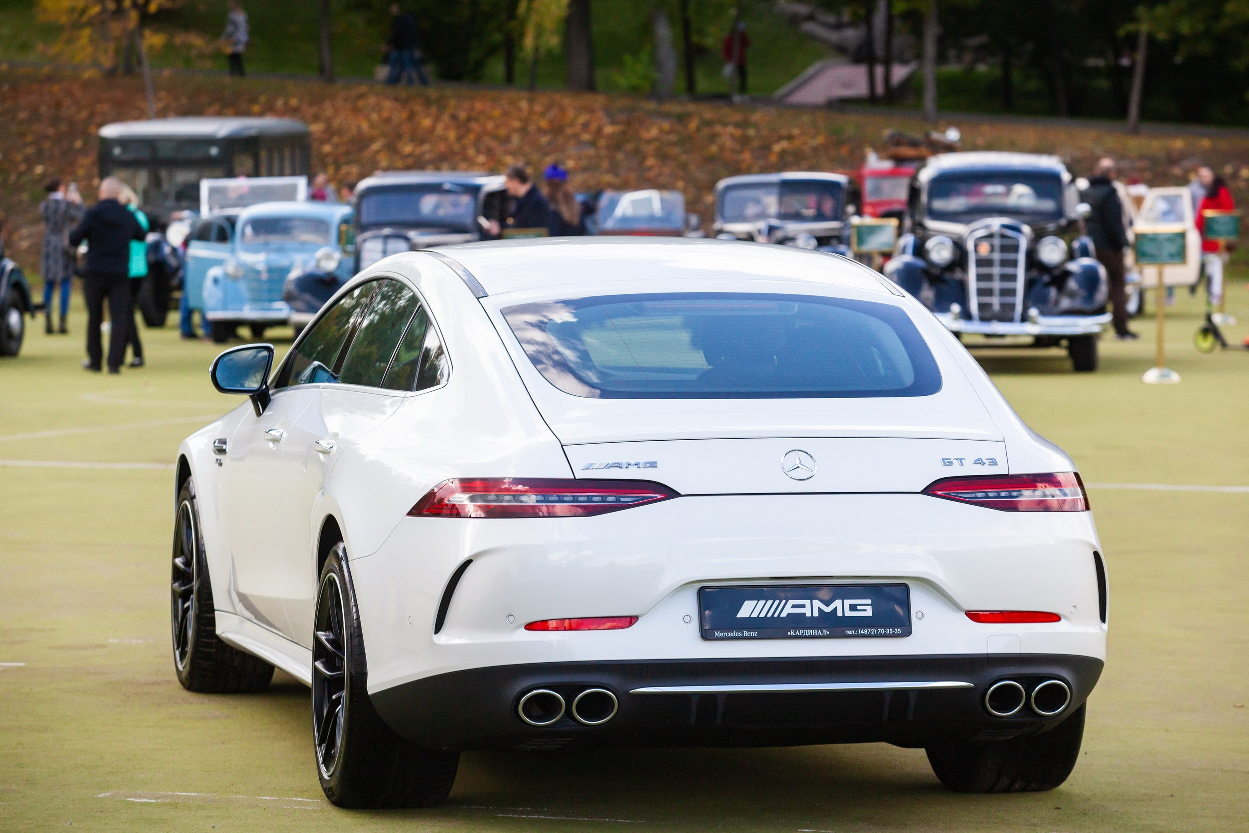 Кубок Губернатора по конкуру (21 сентября 2019). Репортажный фотограф Алексей Пирязев