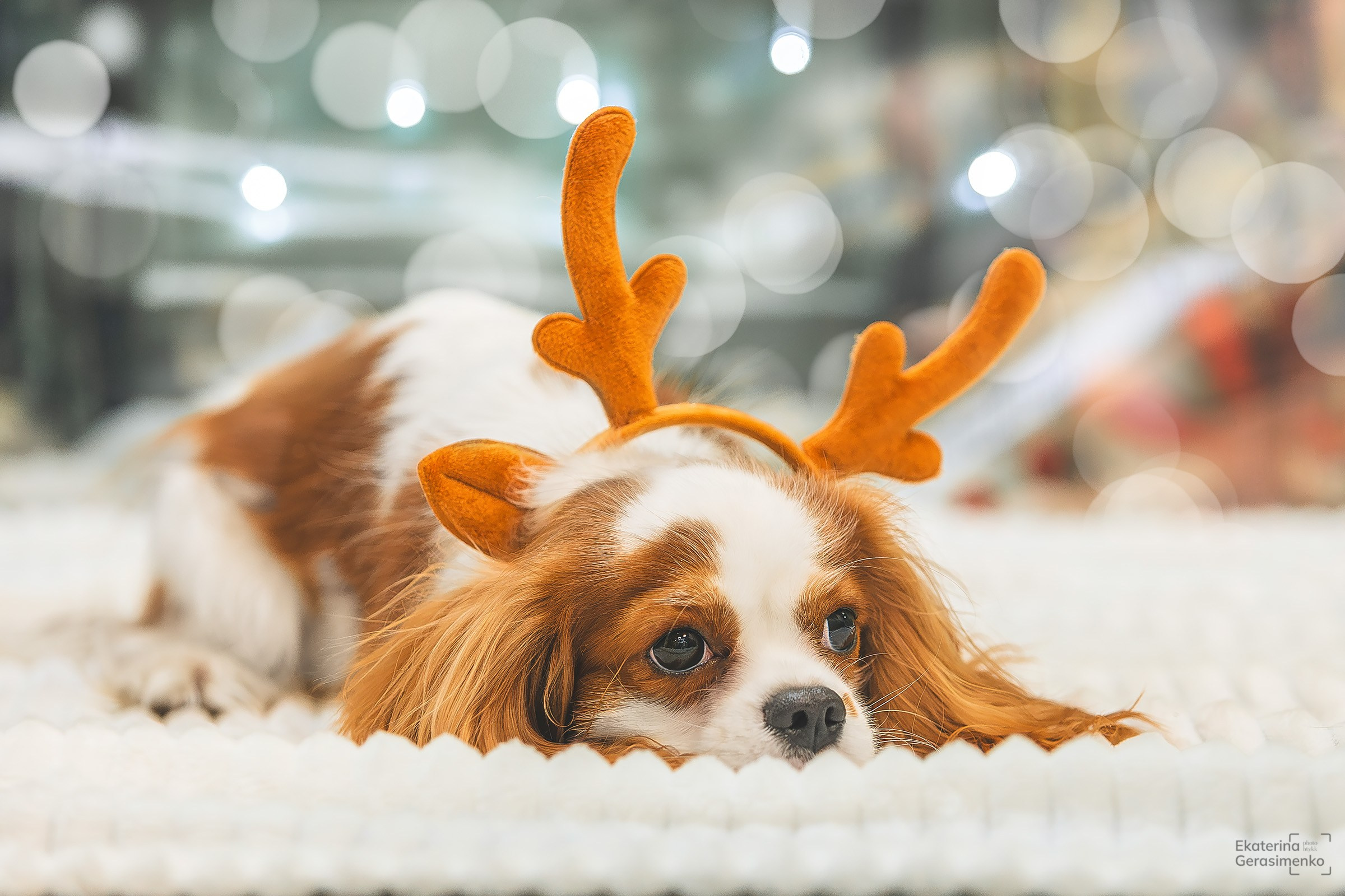 Фотодень. Htykk_photo