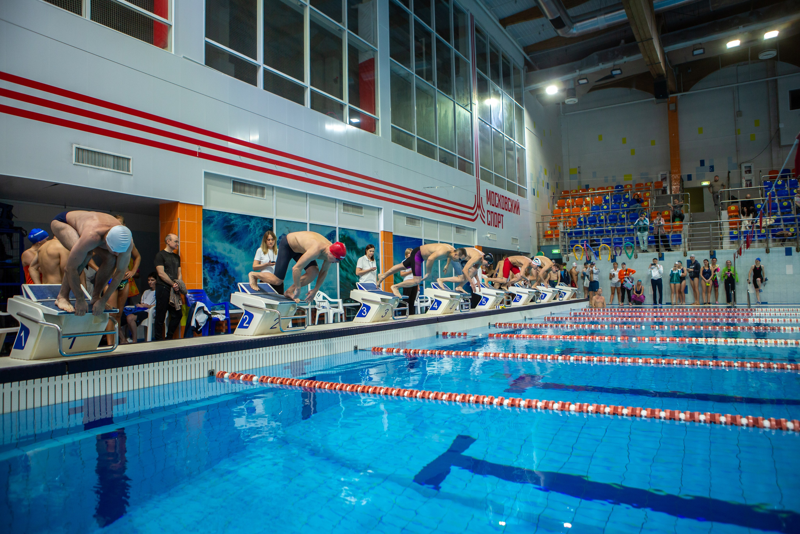 Турнир по плаванию. Репортажный, семейный, свадебный, портретный фотограф