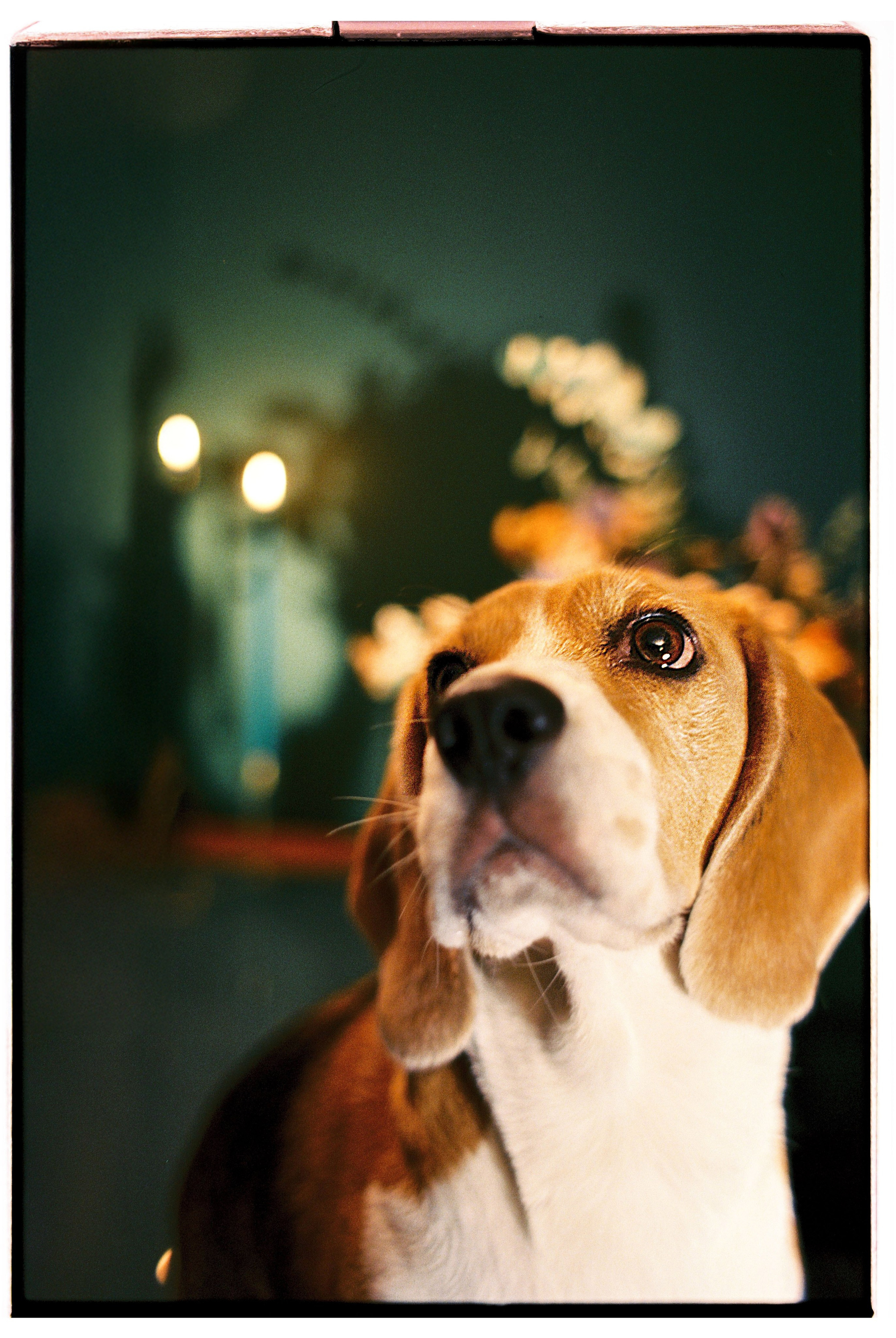 Great time with my family. Никита Демидов. Nikita Demidov