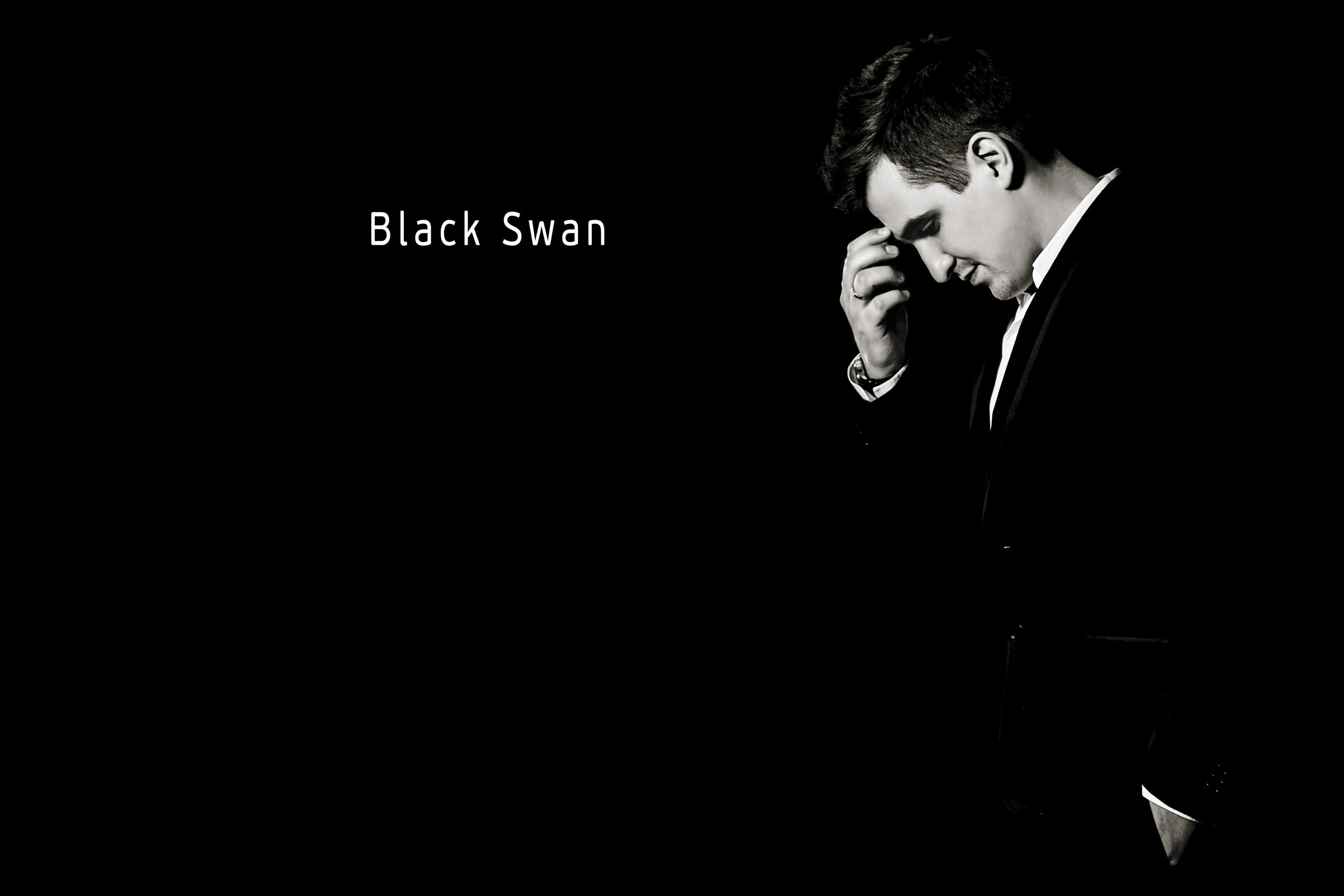 Черный лебедь. Фотограф Константин Пешков