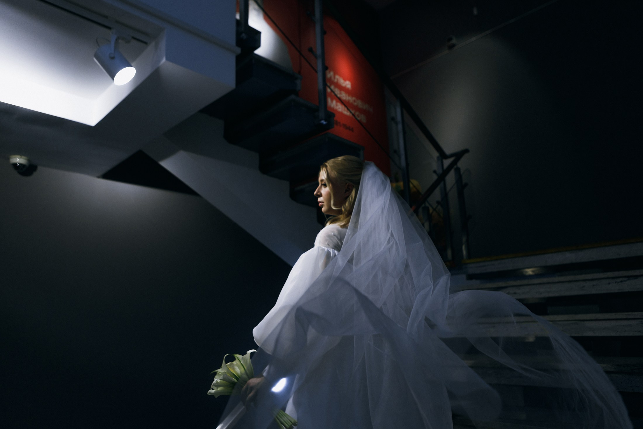 Егор и Екатерина. Осень, музей Машкова. Фотографы в городе Волгограде — Людмила Агеева и Алексей Околелов