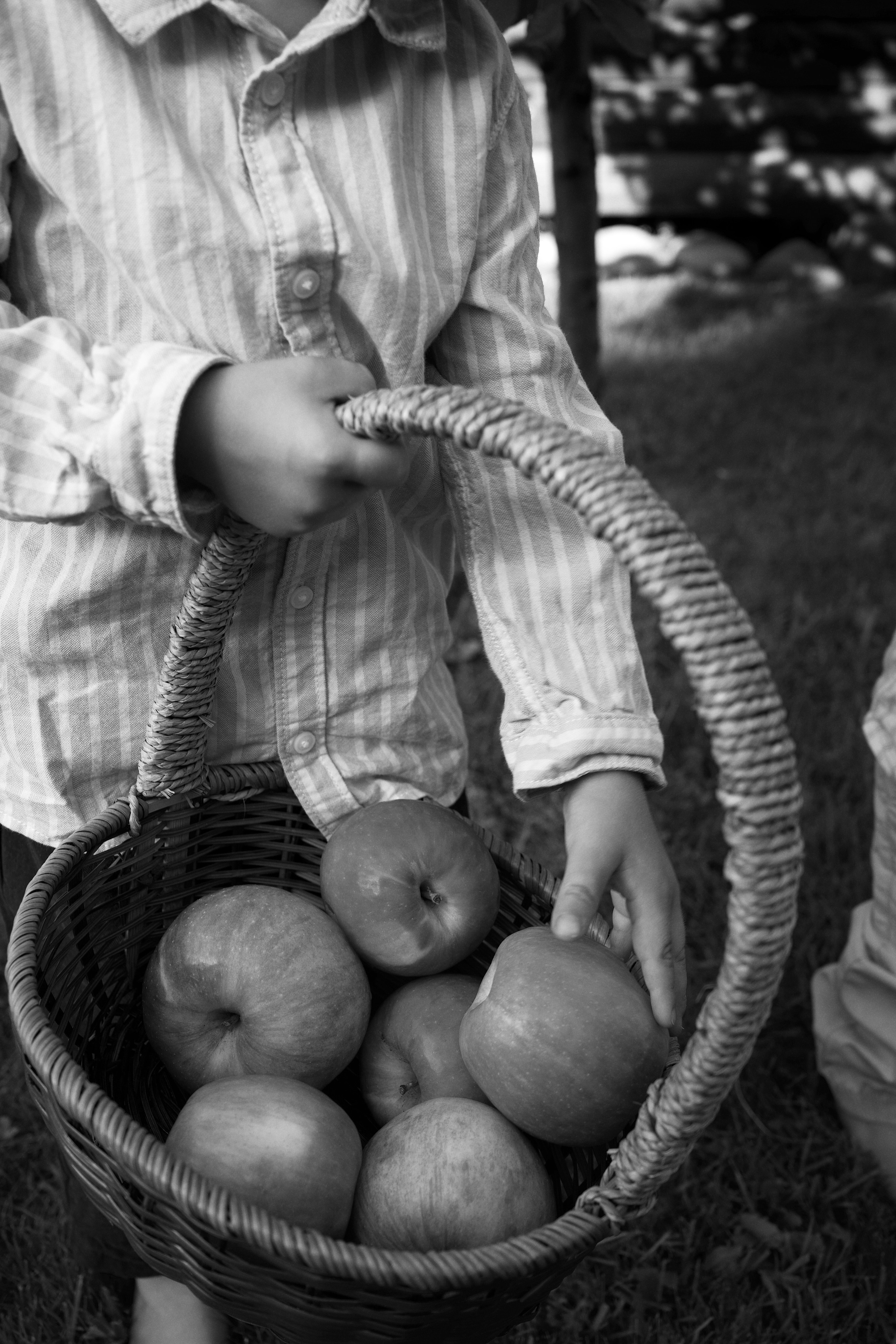 Family. Ваш фотограф Ангелина на Пхукете 🖤
