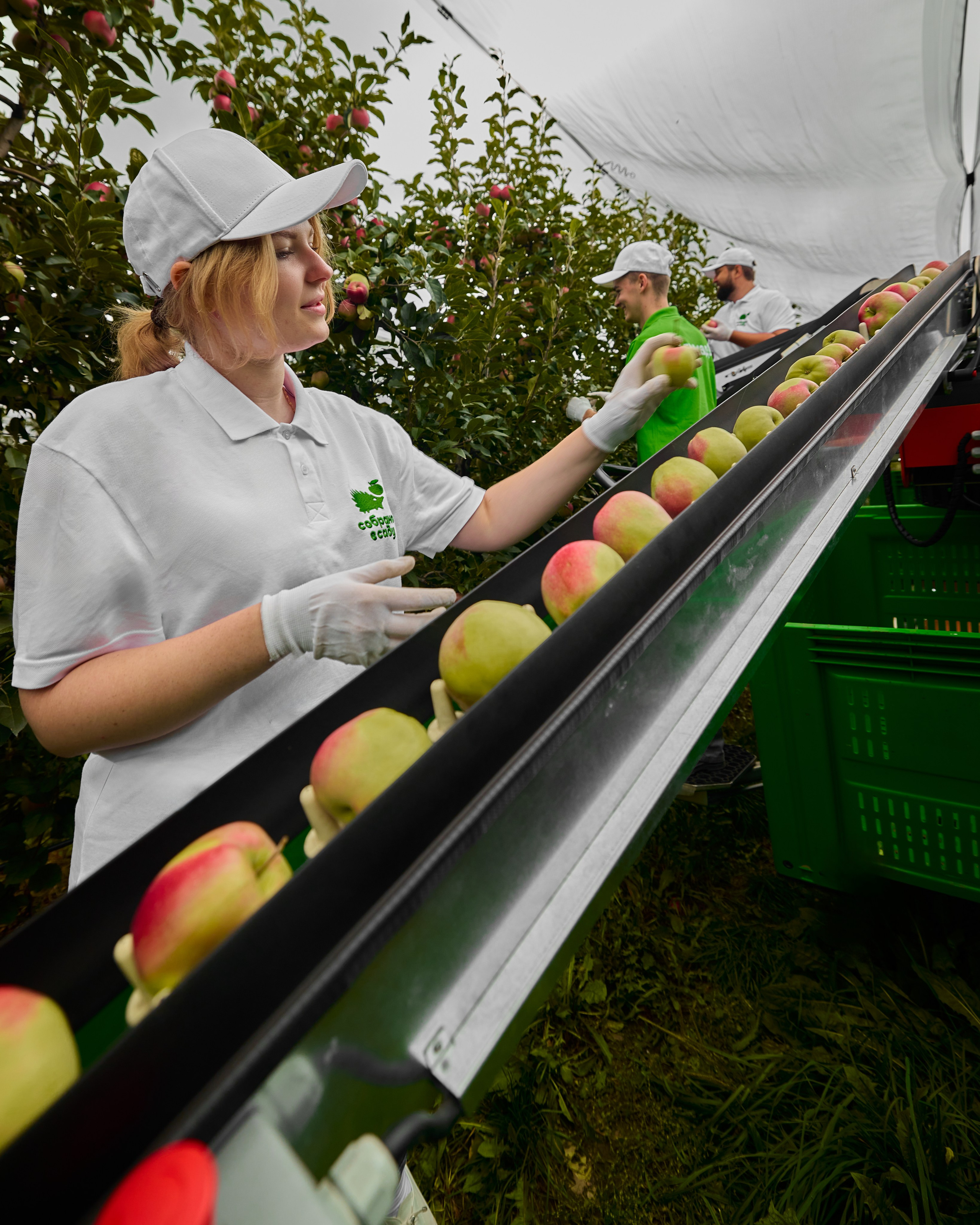 Собрано в саду. Святослав Лебедев | Рекламный фотограф — Коммерческая съемка, Арт-дирекшн, AI-интеграция