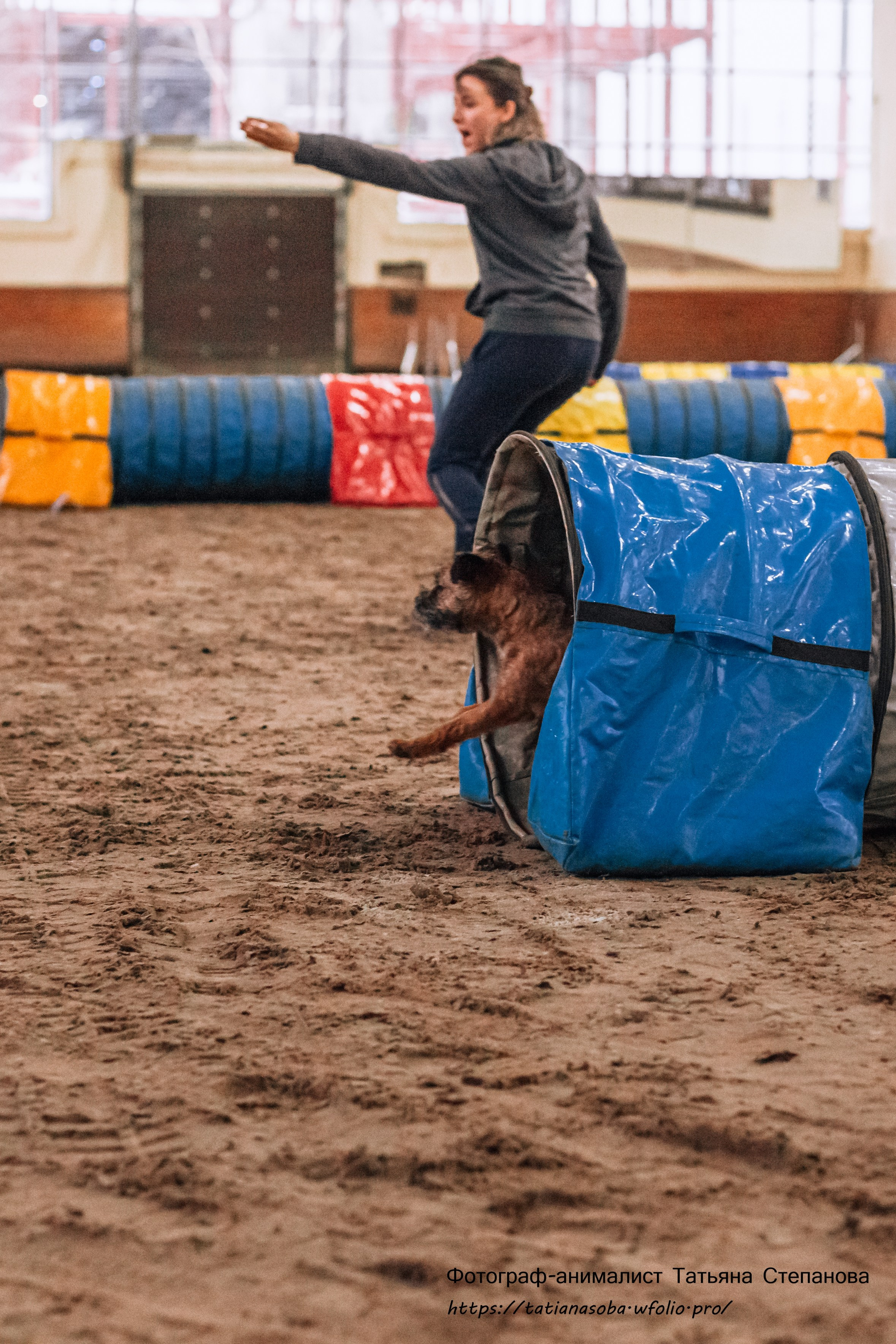 Соревнования по Аджилити 25.02.2024. Фотограф-анималист Татьяна Степанова