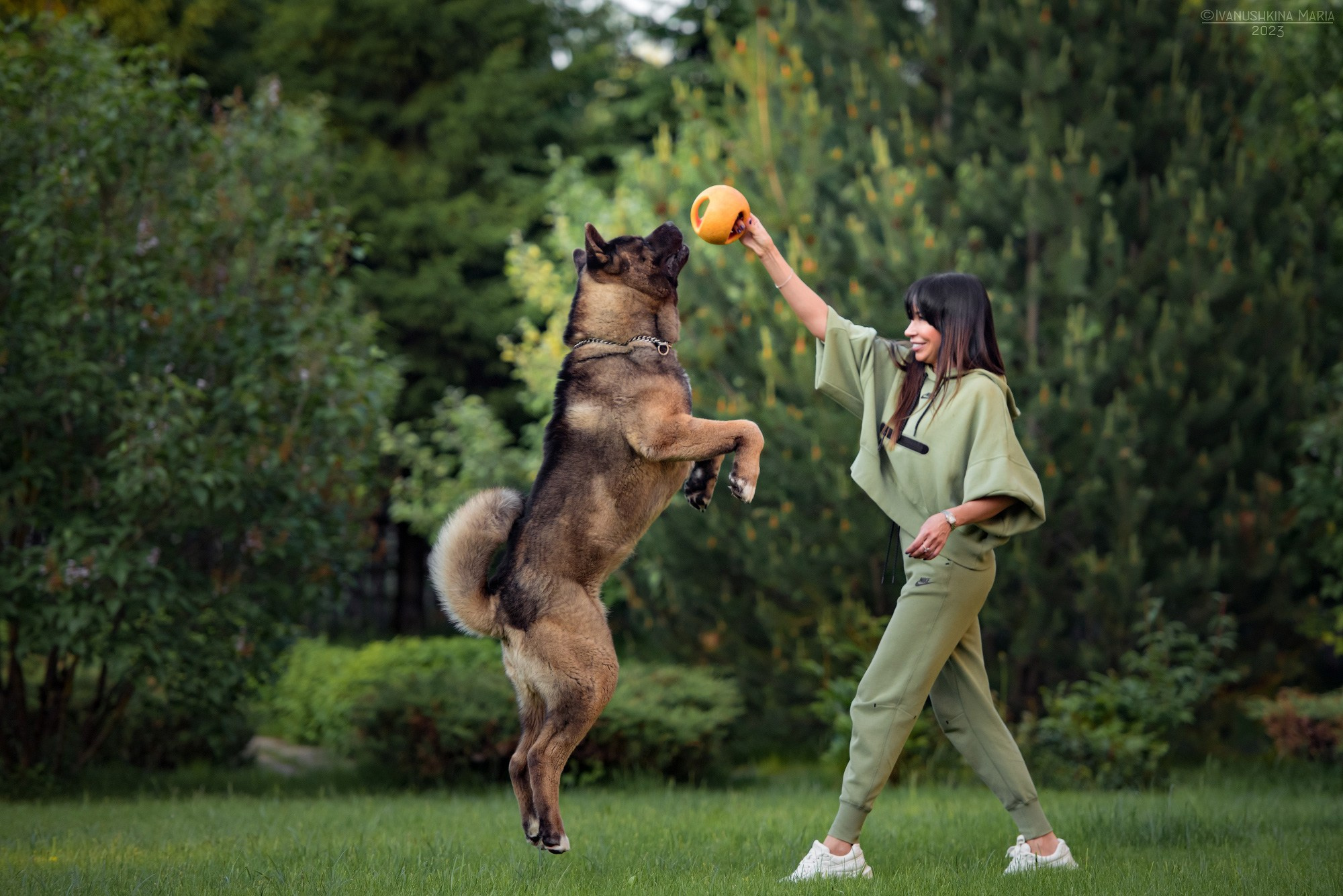 Фотосессия с собакой. Фотограф собак в Москве и Московской области Иванушкина Мария