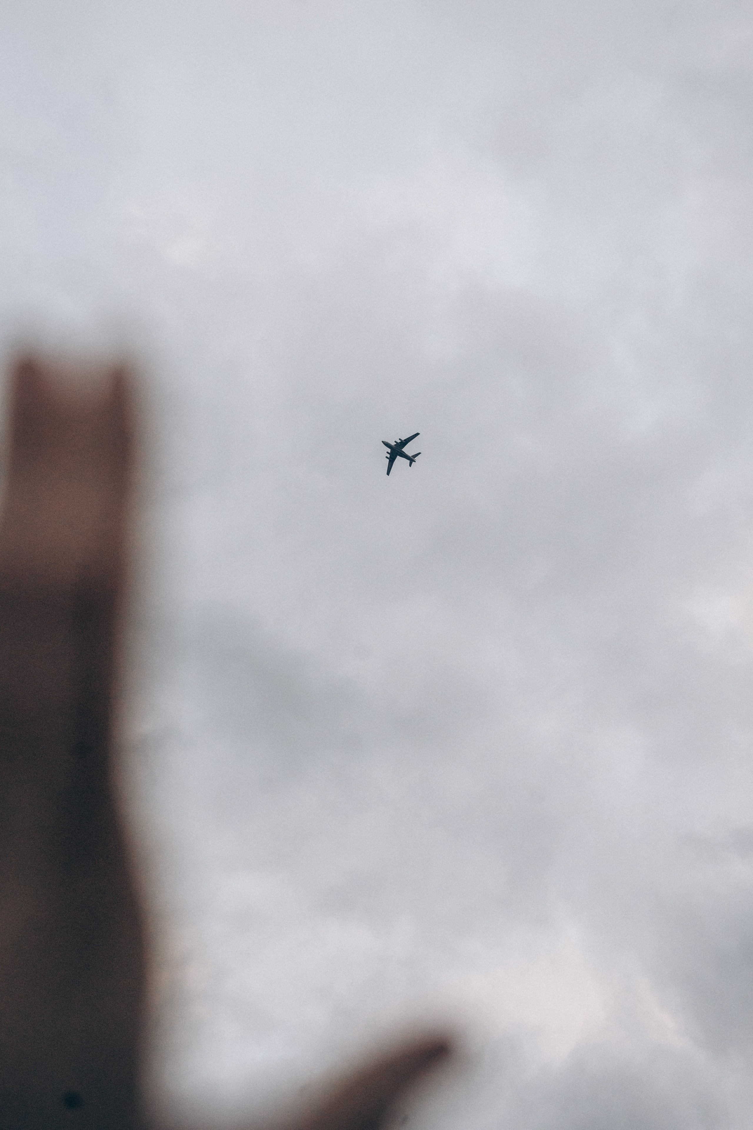 Соня и Кора. Фотограф анималист в Москве и Санкт-Петербурге Свиридова Анна