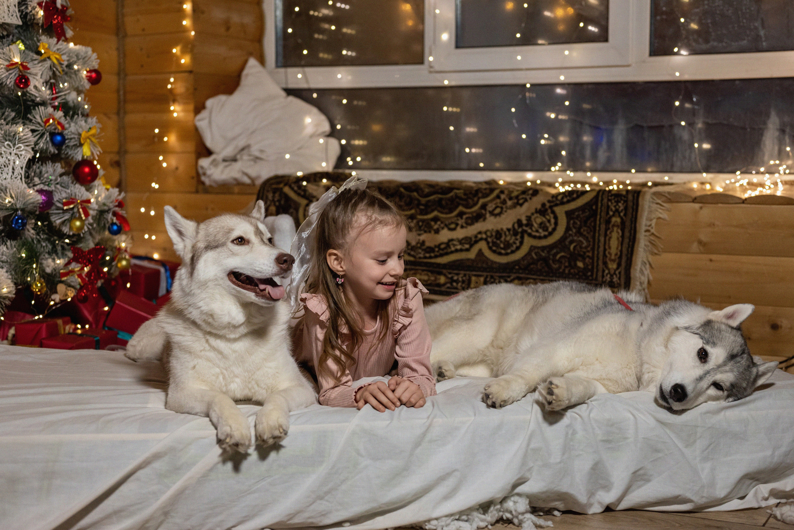 Фотопроект с хаски 2024 г. Фотограф в городе Салават