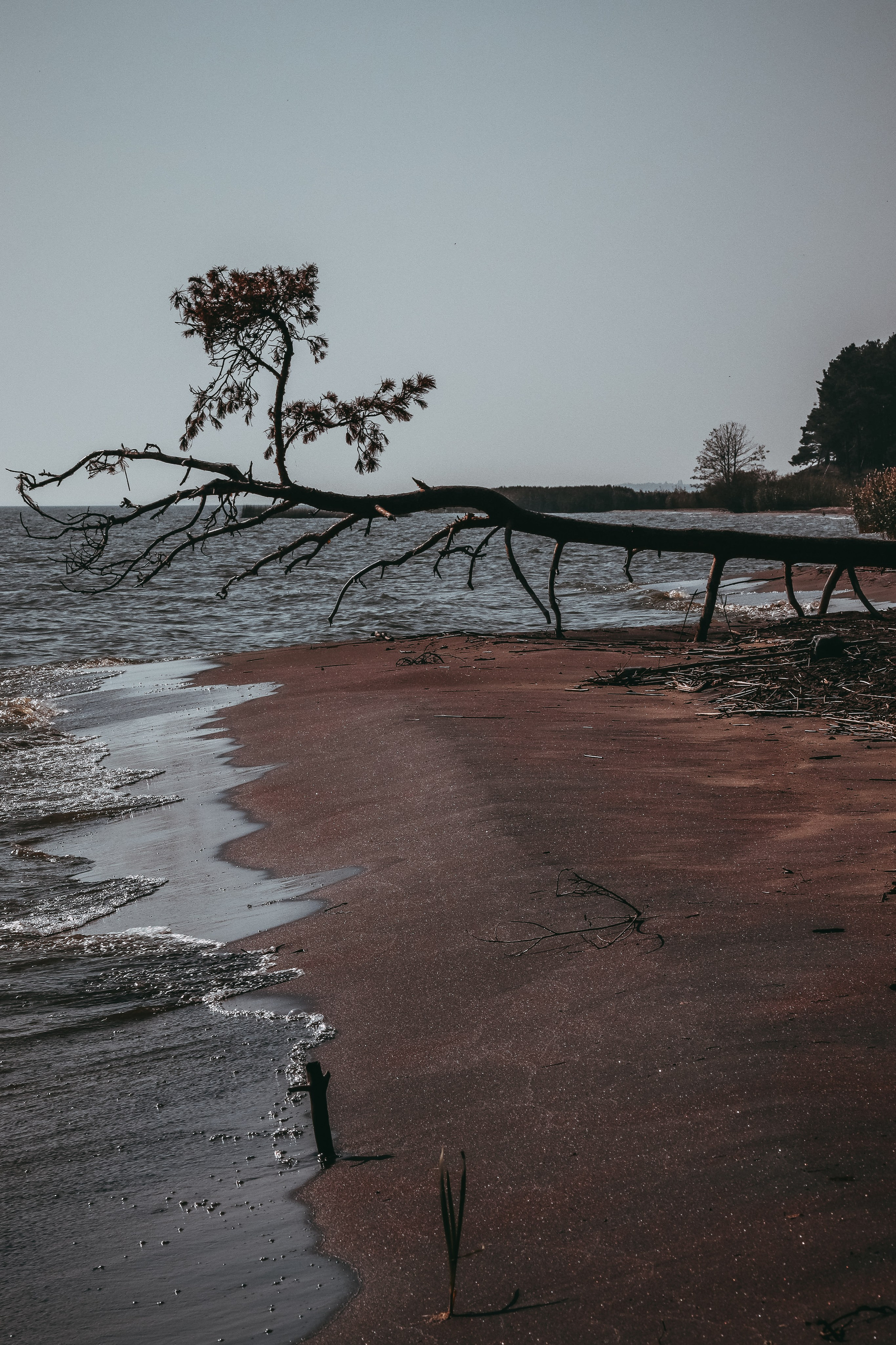 П Е Й З А Ж Н Ы Е. — Digital Noise —