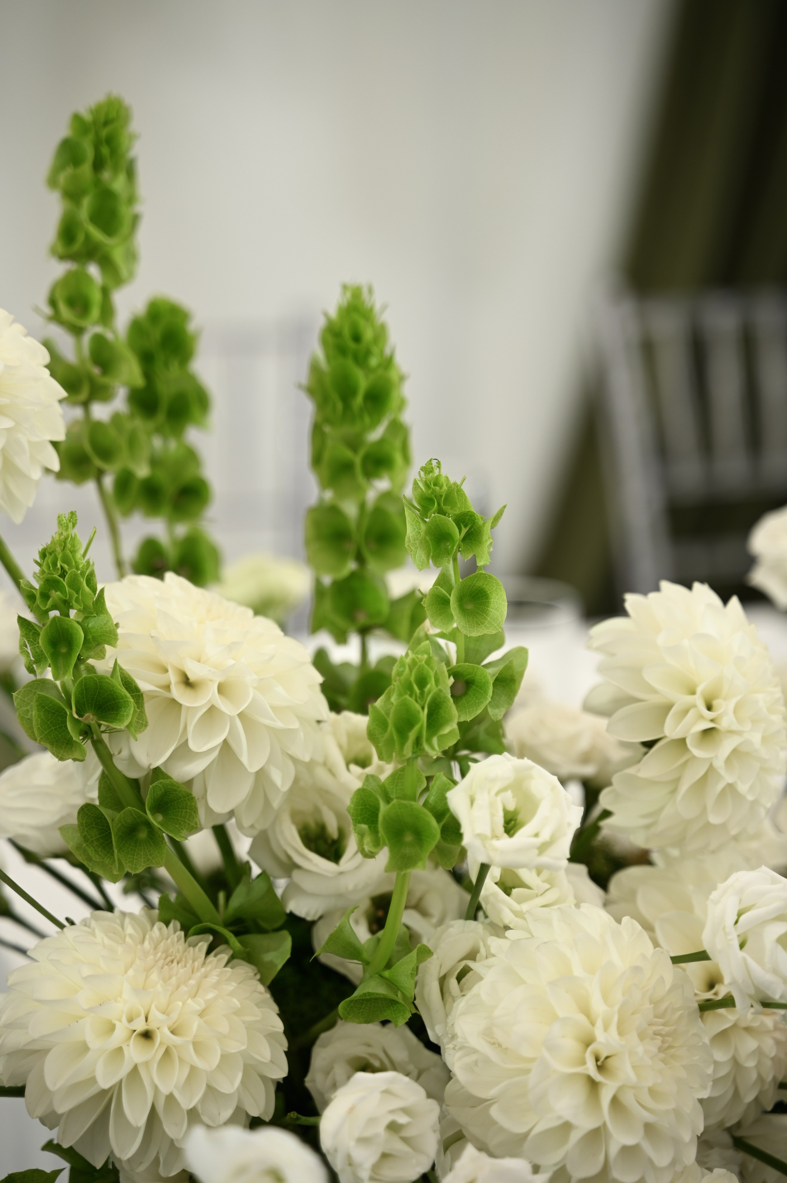 Ринат & Альбина. Свадебный и семейный фотограф в Уфе Александров Максим