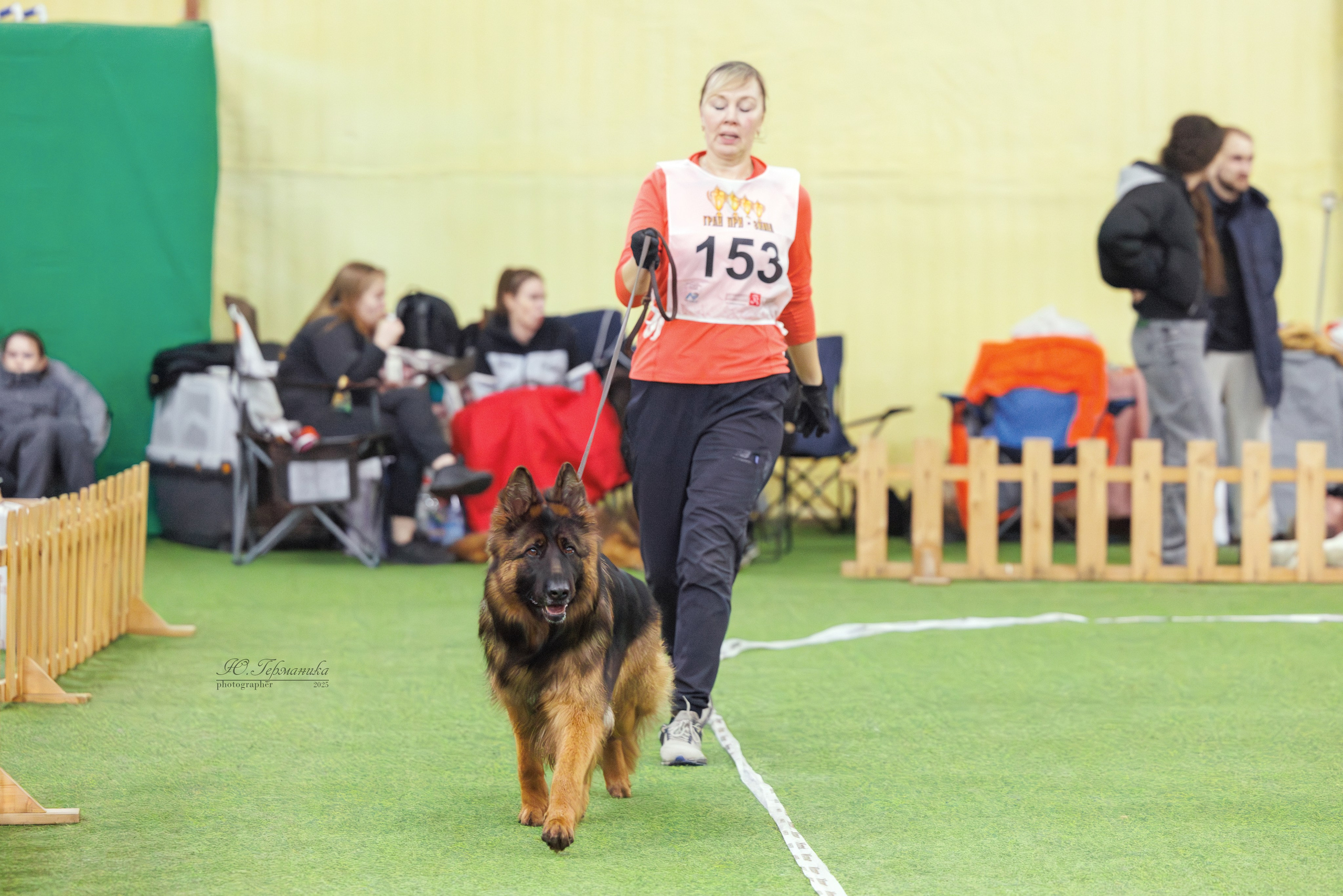 Гран-При 8.02.2025 и Крокус 09.02.2025. Фотограф-анималист Юлия Германика