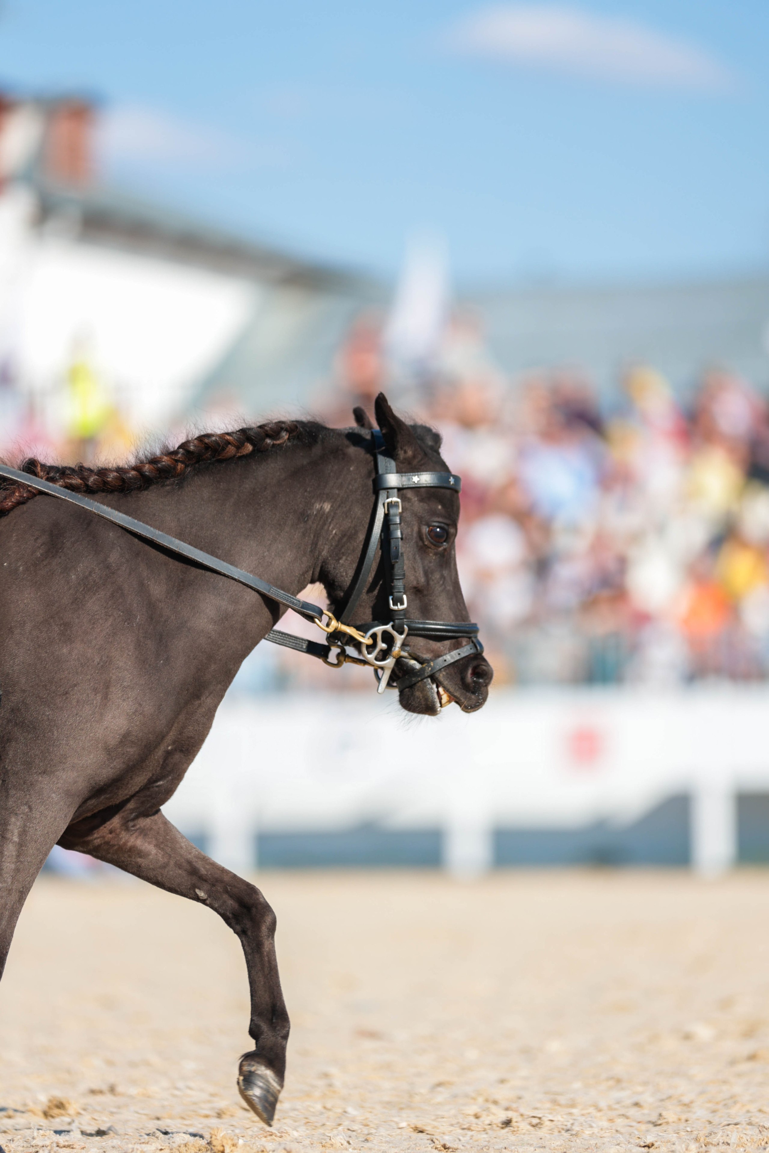 Закрытие сезона ЦНКТ. Фотограф Юлия Калинина