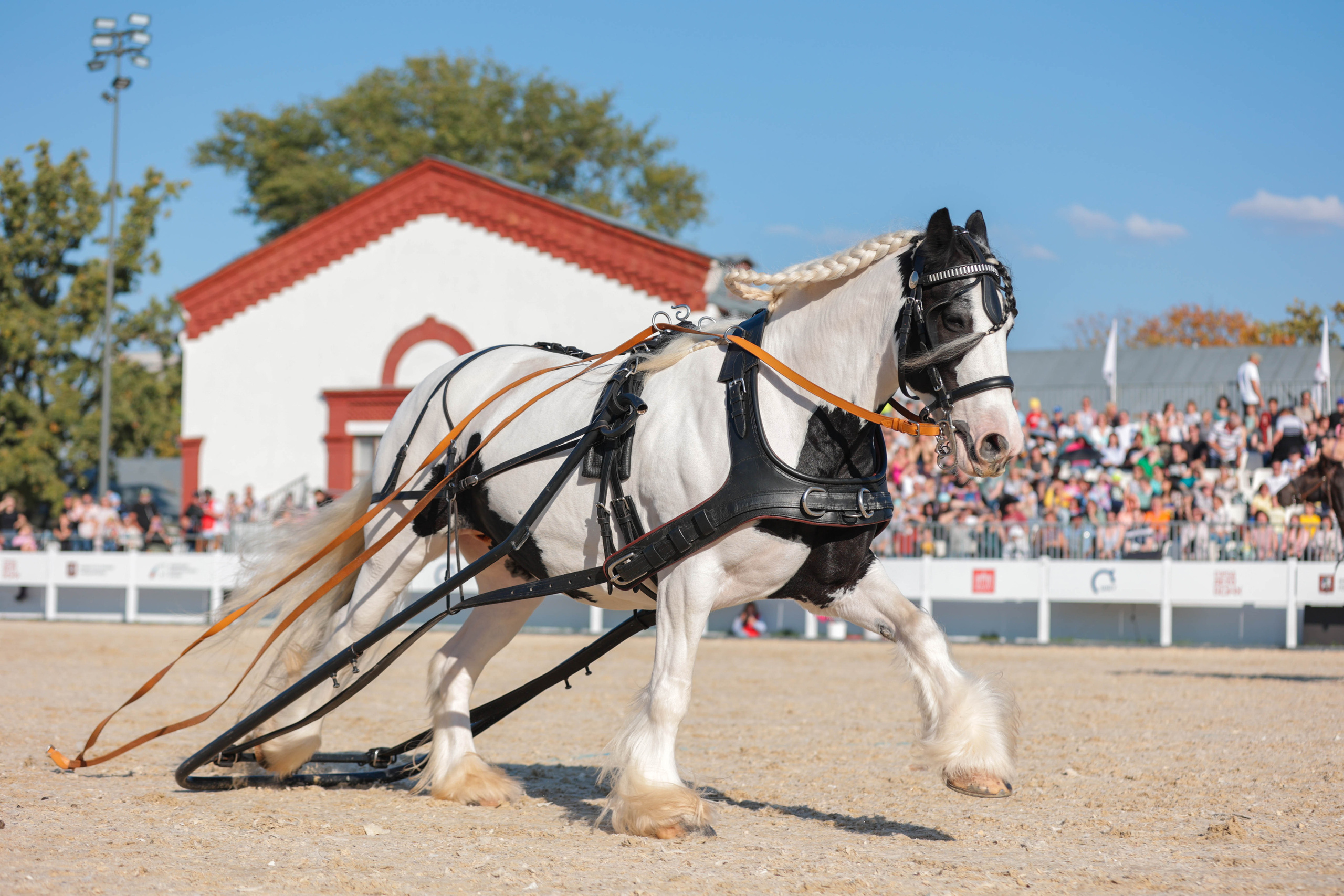 Закрытие сезона ЦНКТ. Фотограф Юлия Калинина