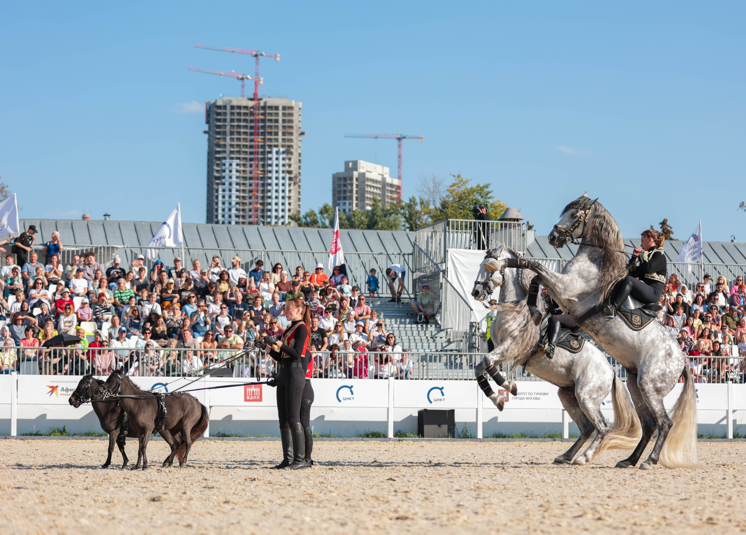 Закрытие сезона ЦНКТ. Фотограф Юлия Калинина