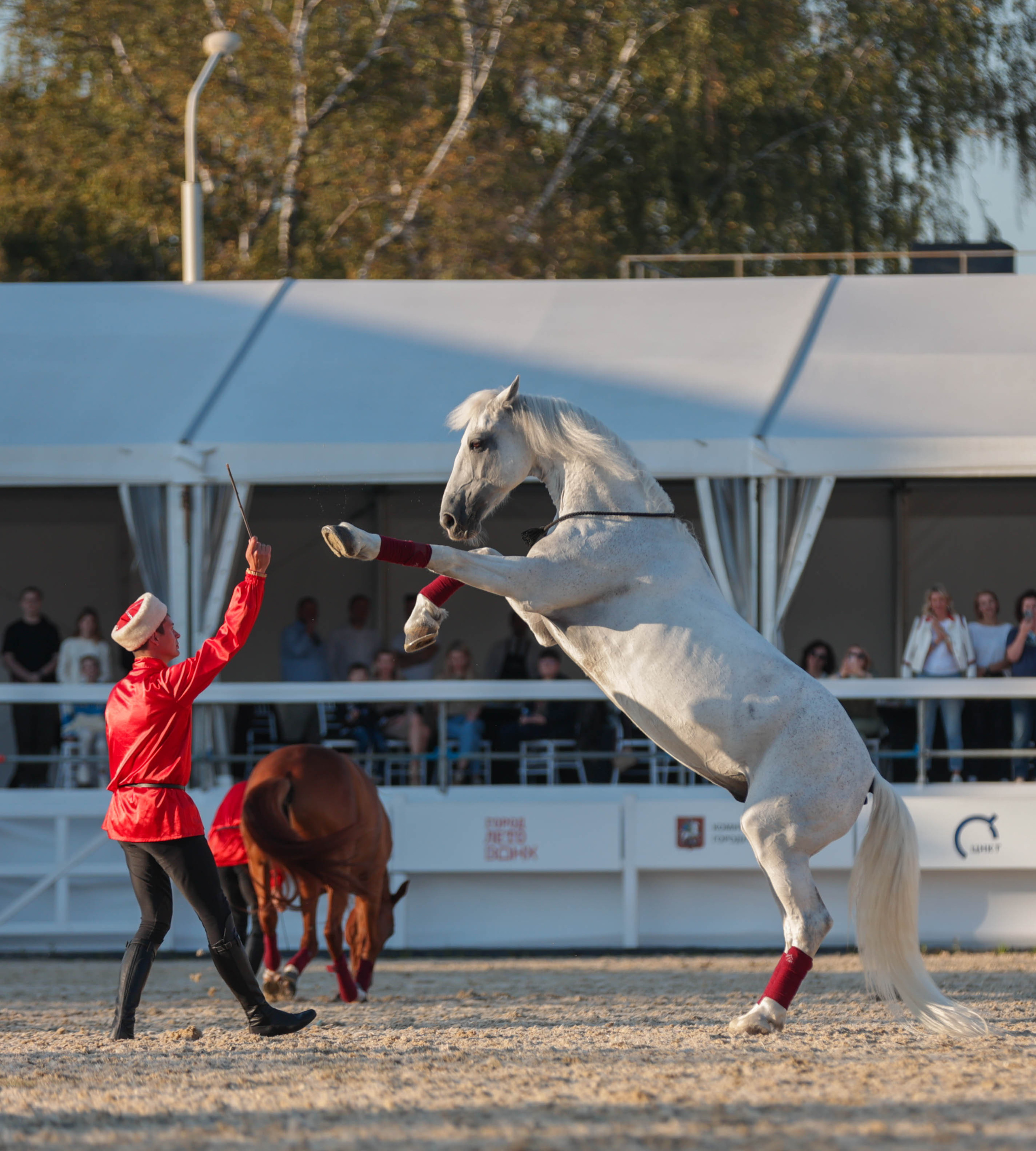 Закрытие сезона ЦНКТ. Фотограф Юлия Калинина