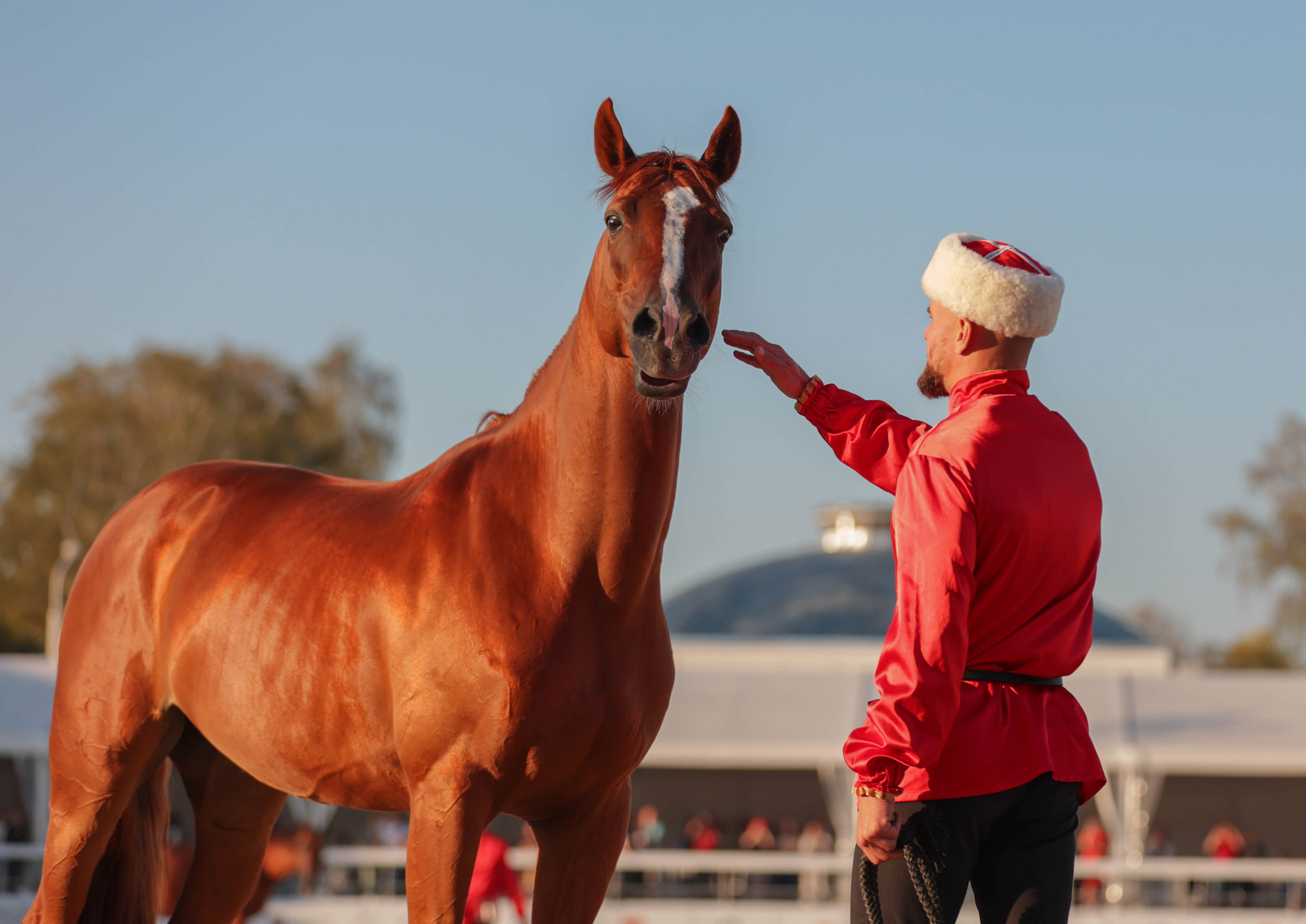 Закрытие сезона ЦНКТ. Фотограф Юлия Калинина