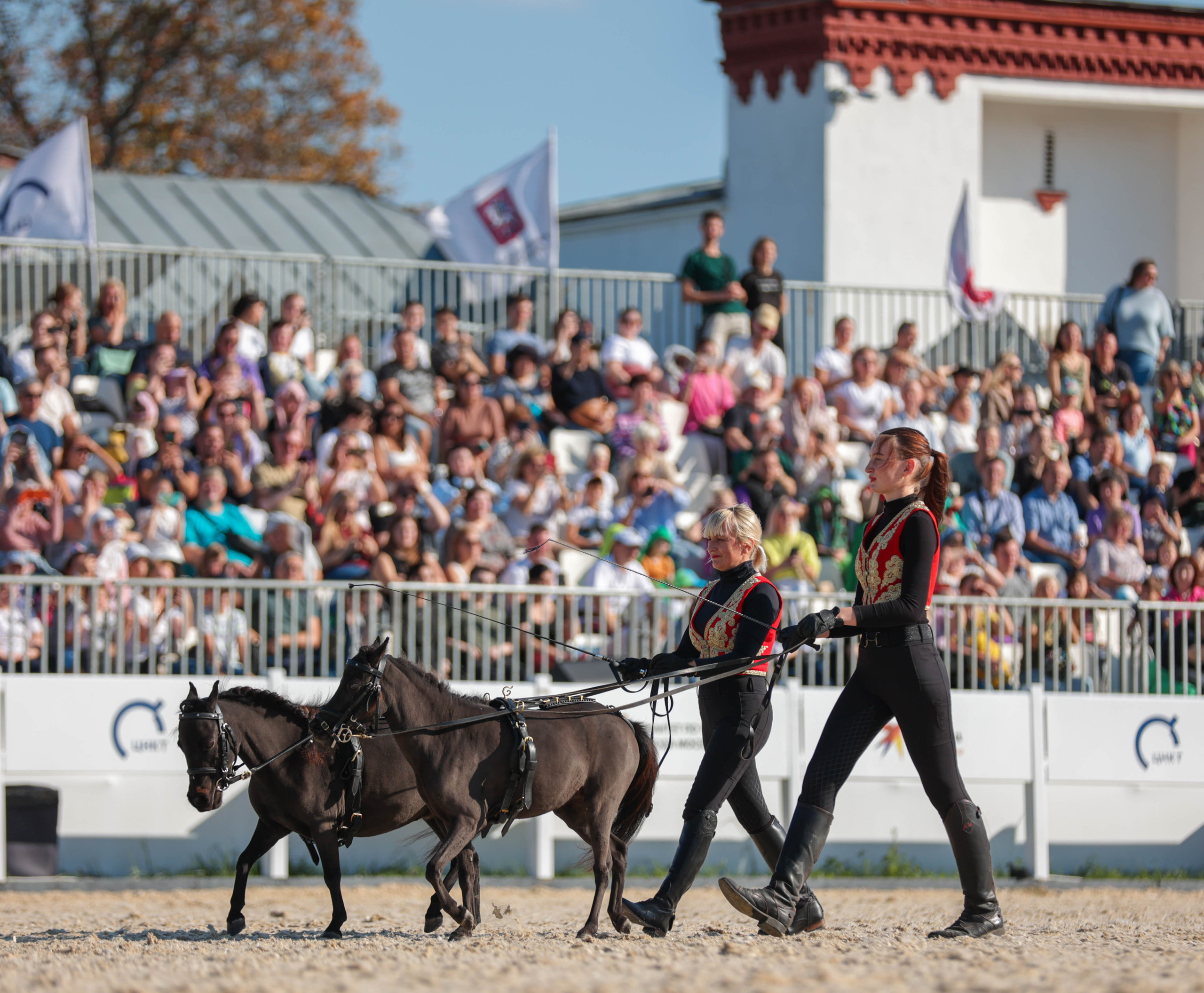 Закрытие сезона ЦНКТ. Фотограф Юлия Калинина