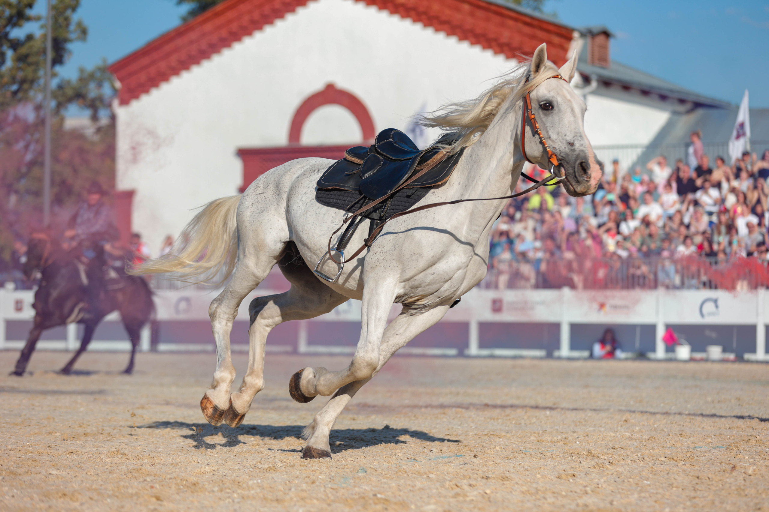 Закрытие сезона ЦНКТ. Фотограф Юлия Калинина